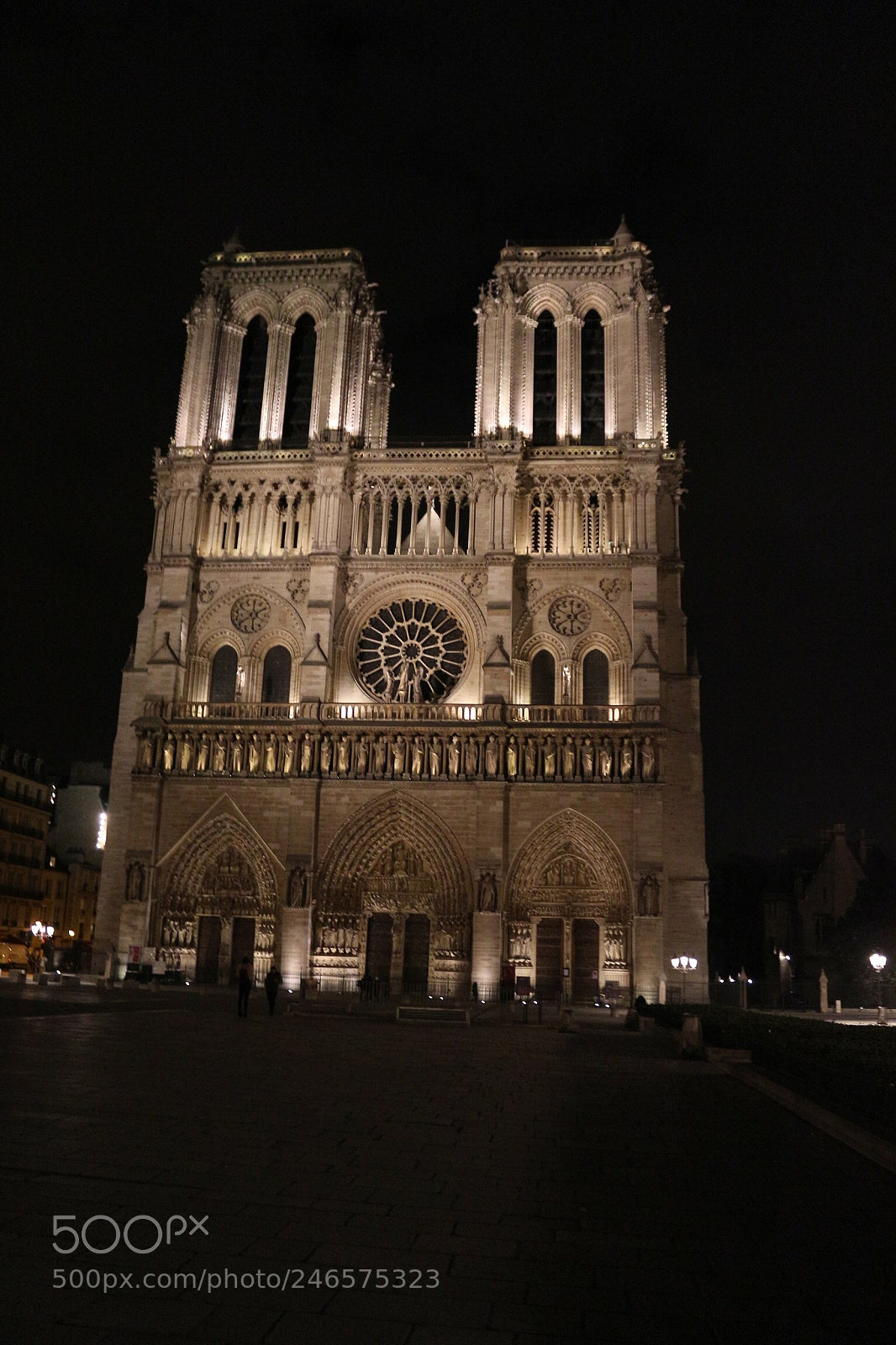 Canon EOS 650D (EOS Rebel T4i / EOS Kiss X6i) sample photo. Notre dames photography