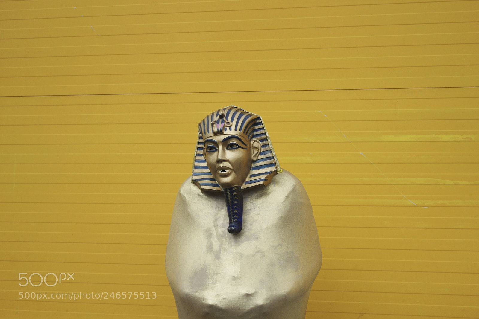 Pentax K-x sample photo. Yellow my mind photography