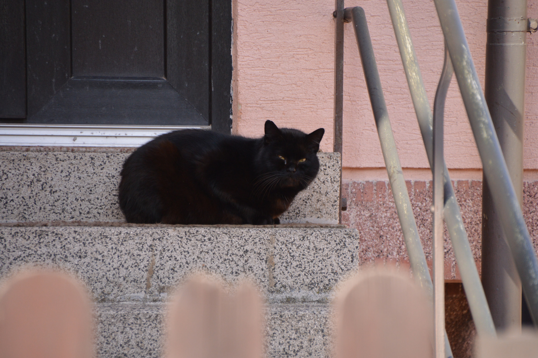 Sigma 18-250mm F3.5-6.3 DC Macro OS HSM sample photo. I'm not crying photography