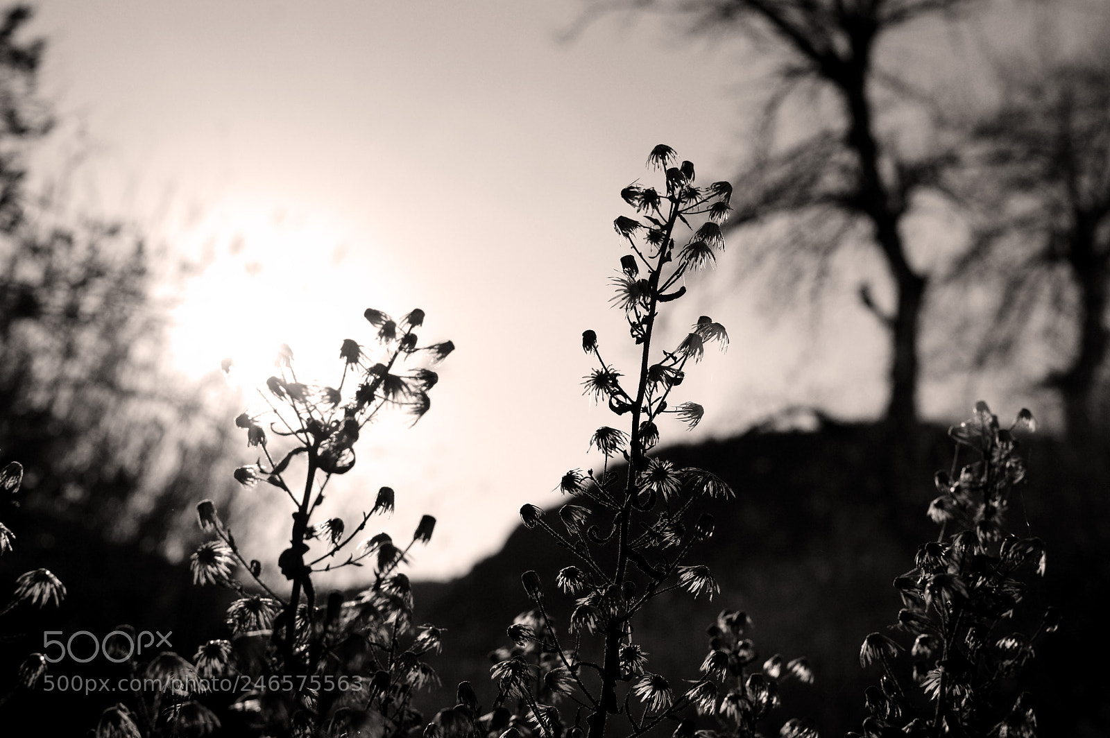 Nikon D3200 sample photo. Sunset photography