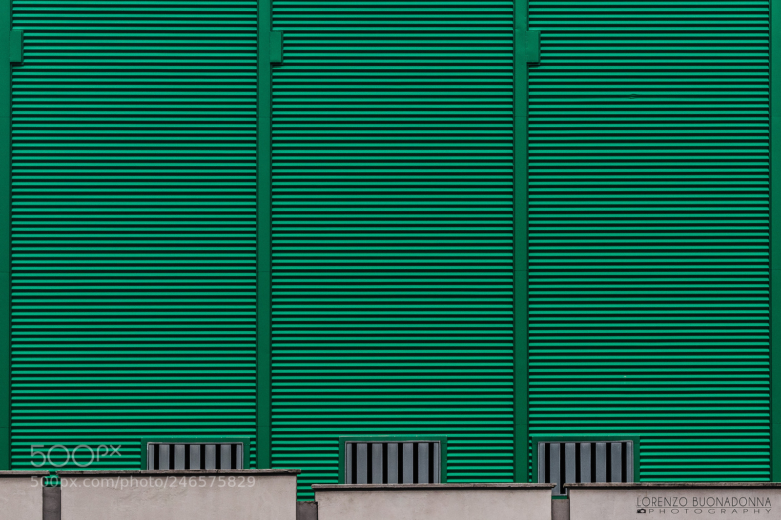 Canon EOS 7D Mark II sample photo. Green in varenna photography