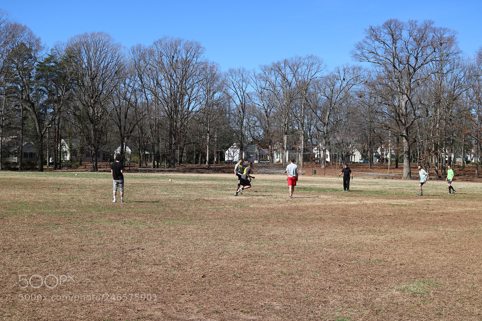 Canon EOS 750D (EOS Rebel T6i / EOS Kiss X8i) sample photo. Img photography