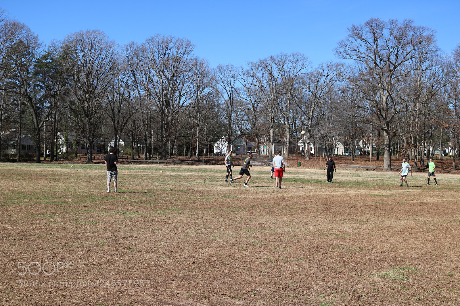 Canon EOS 750D (EOS Rebel T6i / EOS Kiss X8i) sample photo. Img photography