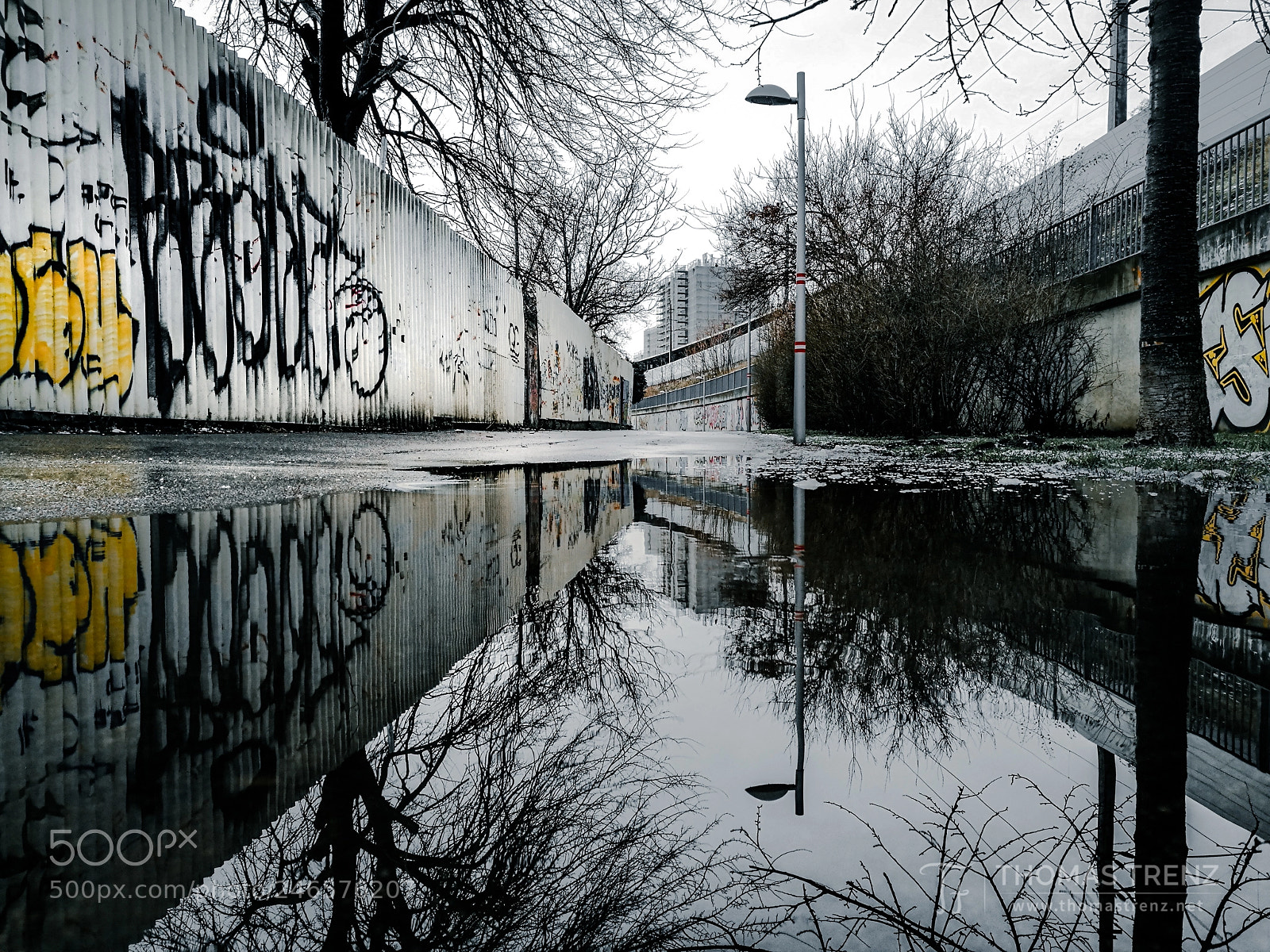 HUAWEI P9 sample photo. Path reflection photography