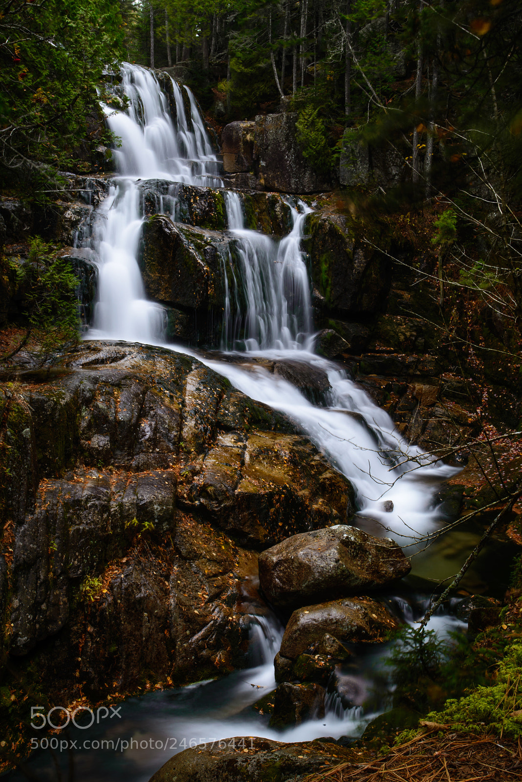 Nikon D610 sample photo. Untitled photography