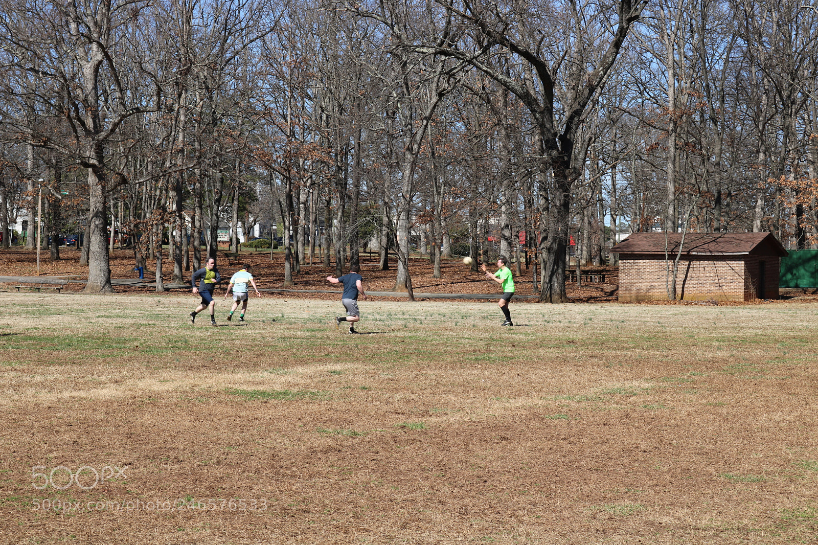 Canon EOS 750D (EOS Rebel T6i / EOS Kiss X8i) sample photo. Img photography