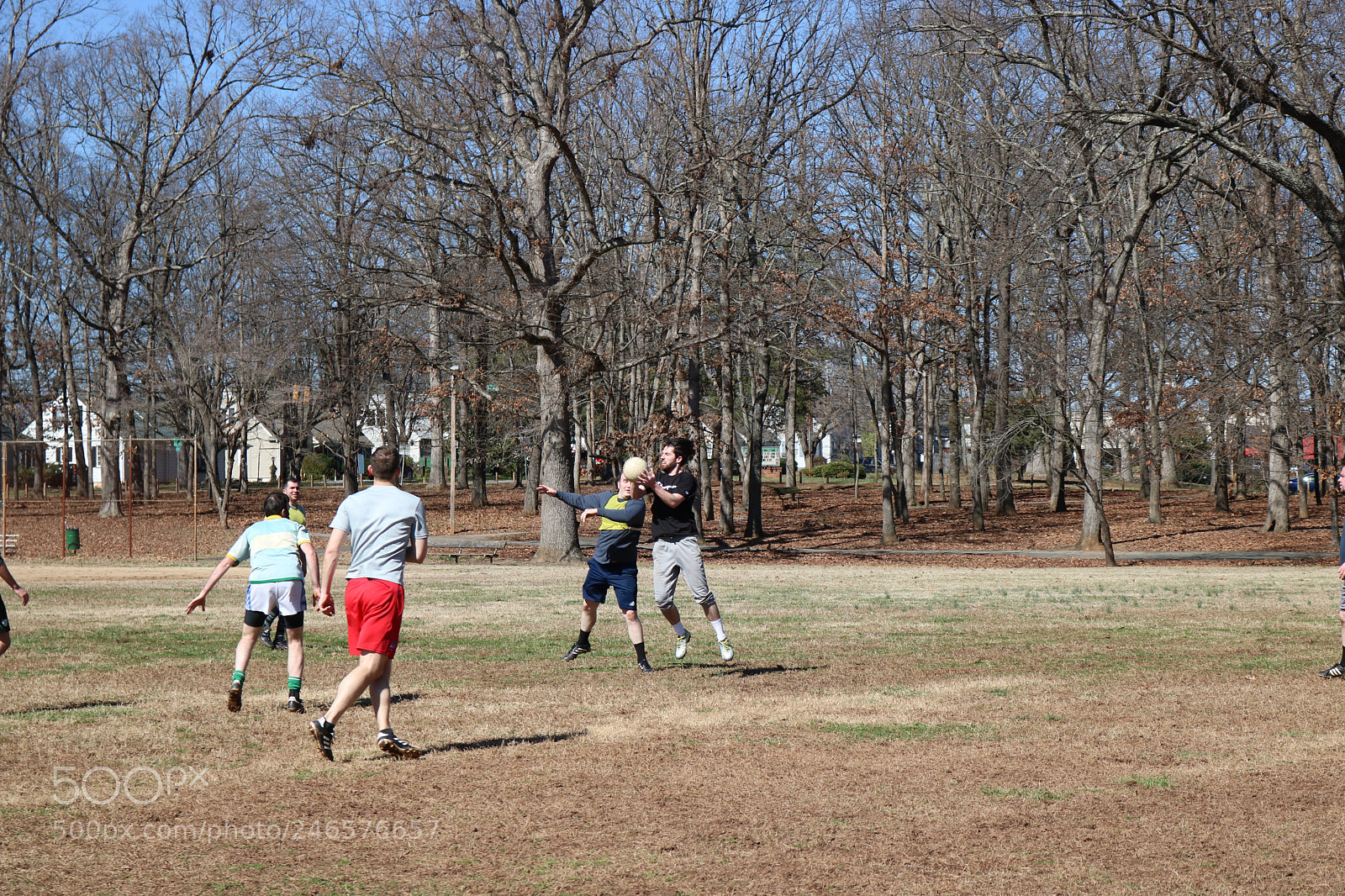 Canon EOS 750D (EOS Rebel T6i / EOS Kiss X8i) sample photo. Img photography
