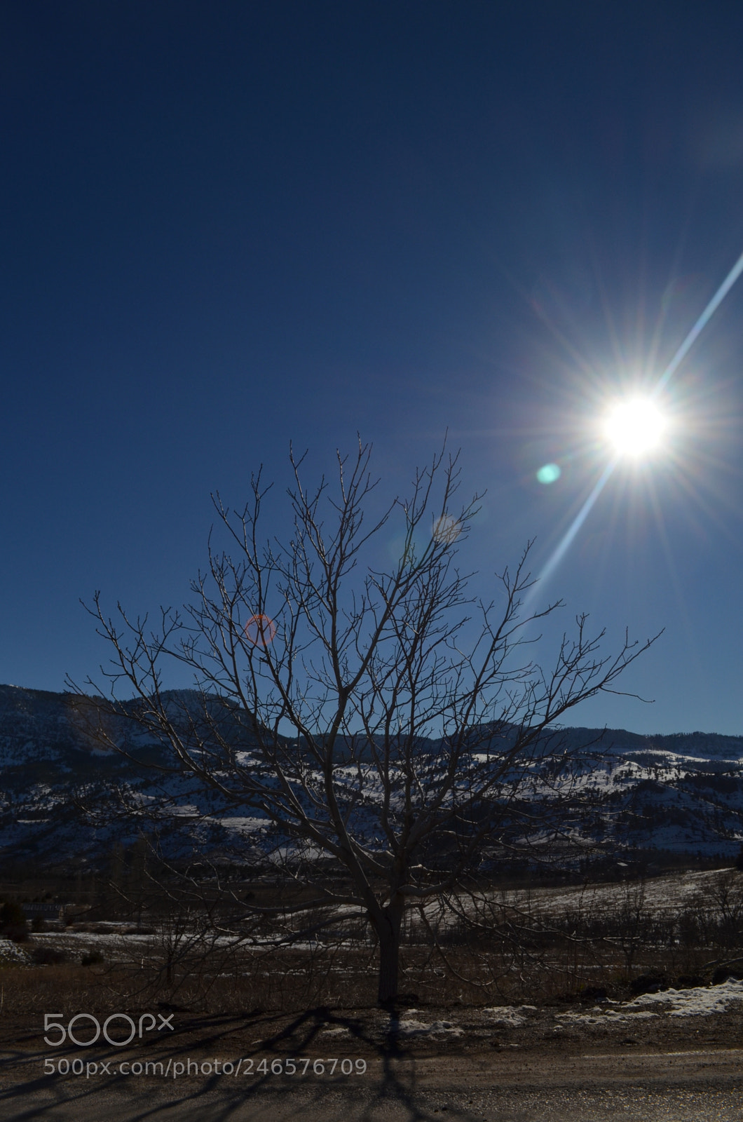 Nikon D5100 sample photo. Untitled photography