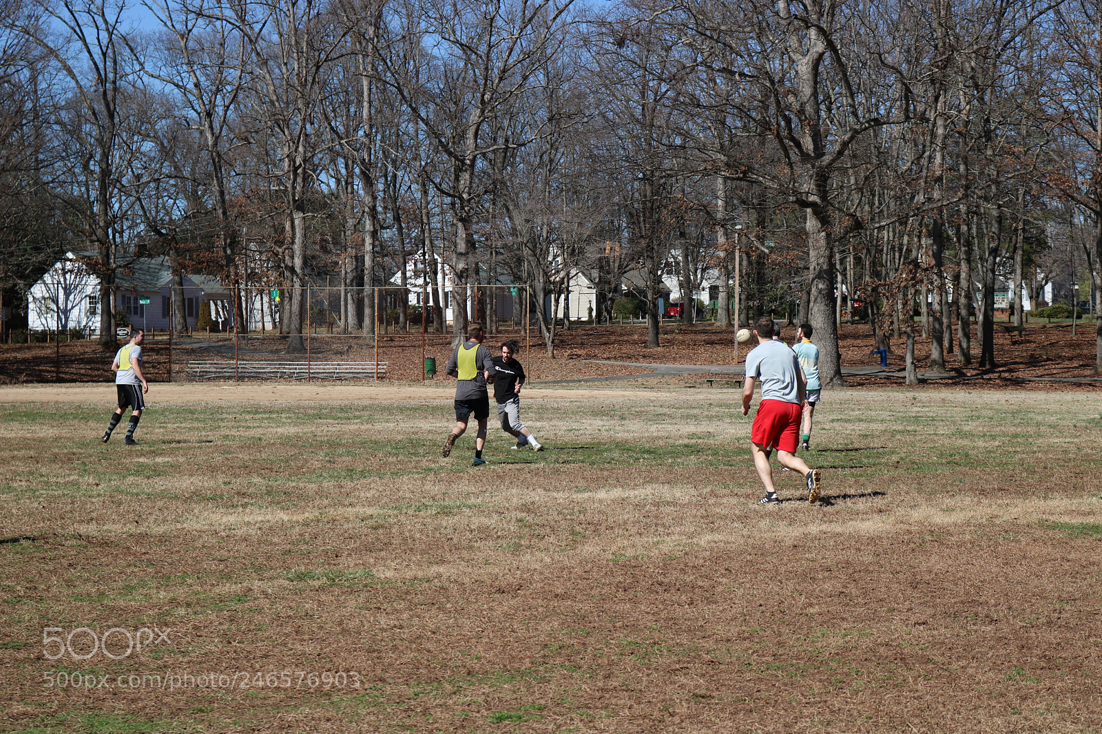 Canon EOS 750D (EOS Rebel T6i / EOS Kiss X8i) sample photo. Img photography
