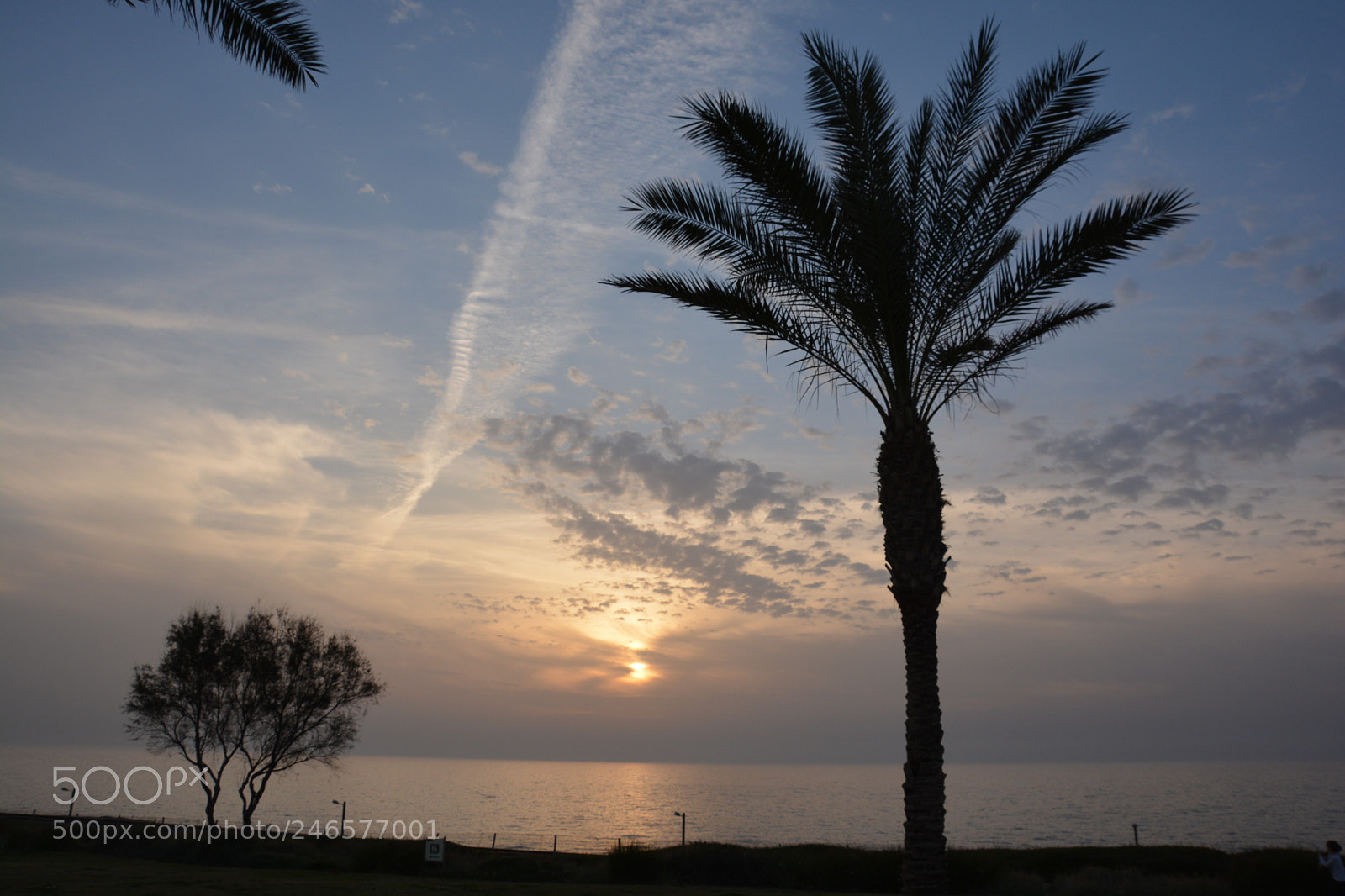Nikon D5200 sample photo. Relax time photography
