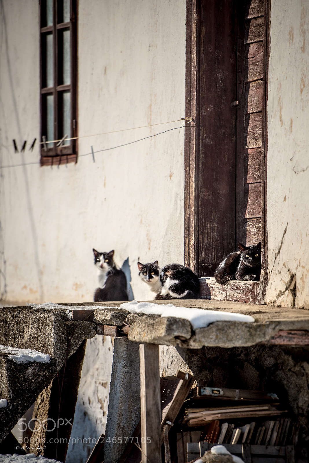 Nikon D800 sample photo. 3 mates photography