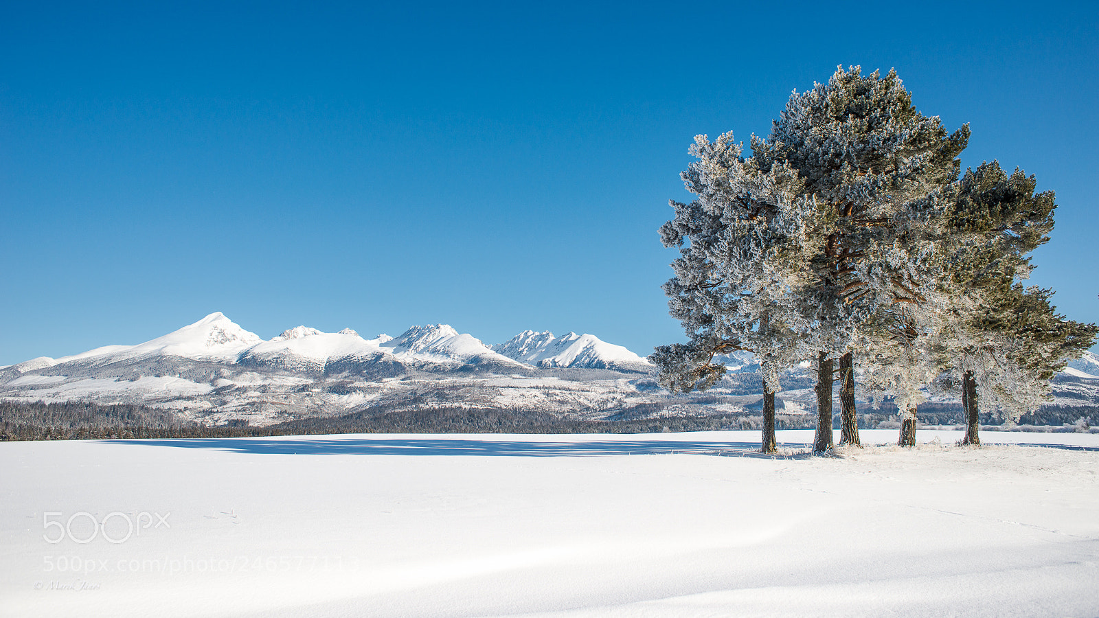 Nikon D800 sample photo. Morning view of high photography
