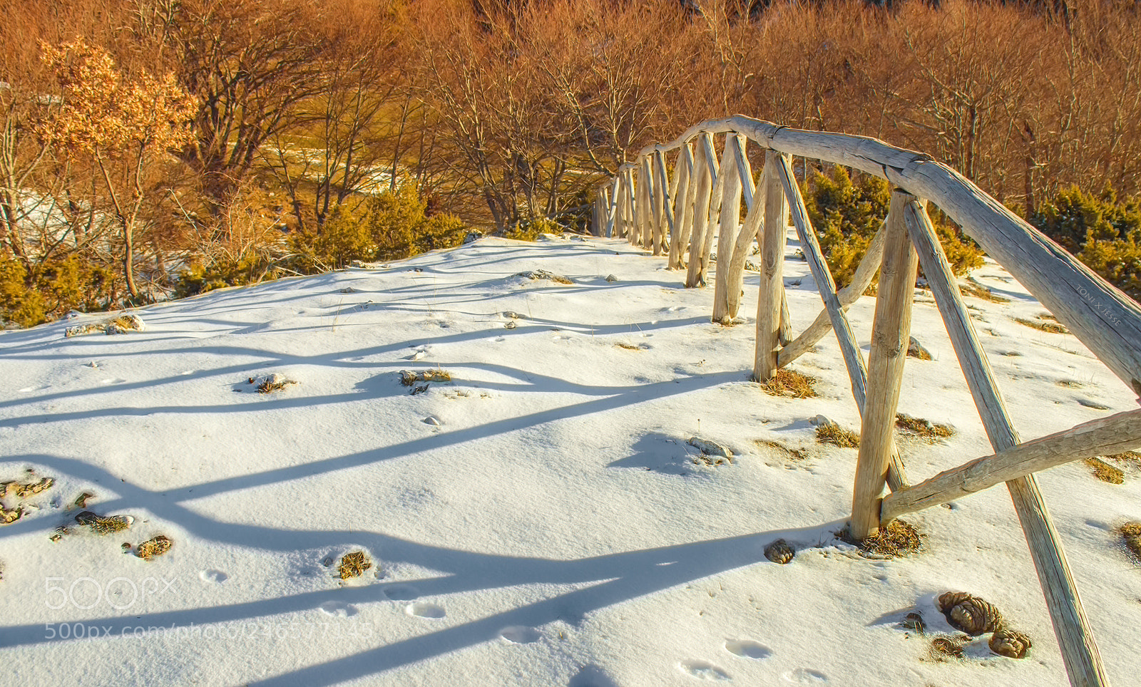 Canon EOS 600D (Rebel EOS T3i / EOS Kiss X5) sample photo. Snow's effect photography