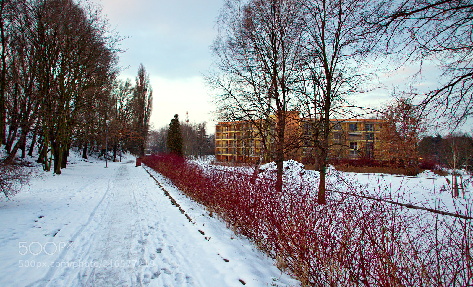 Canon EOS 50D sample photo. Building in ostrava city photography