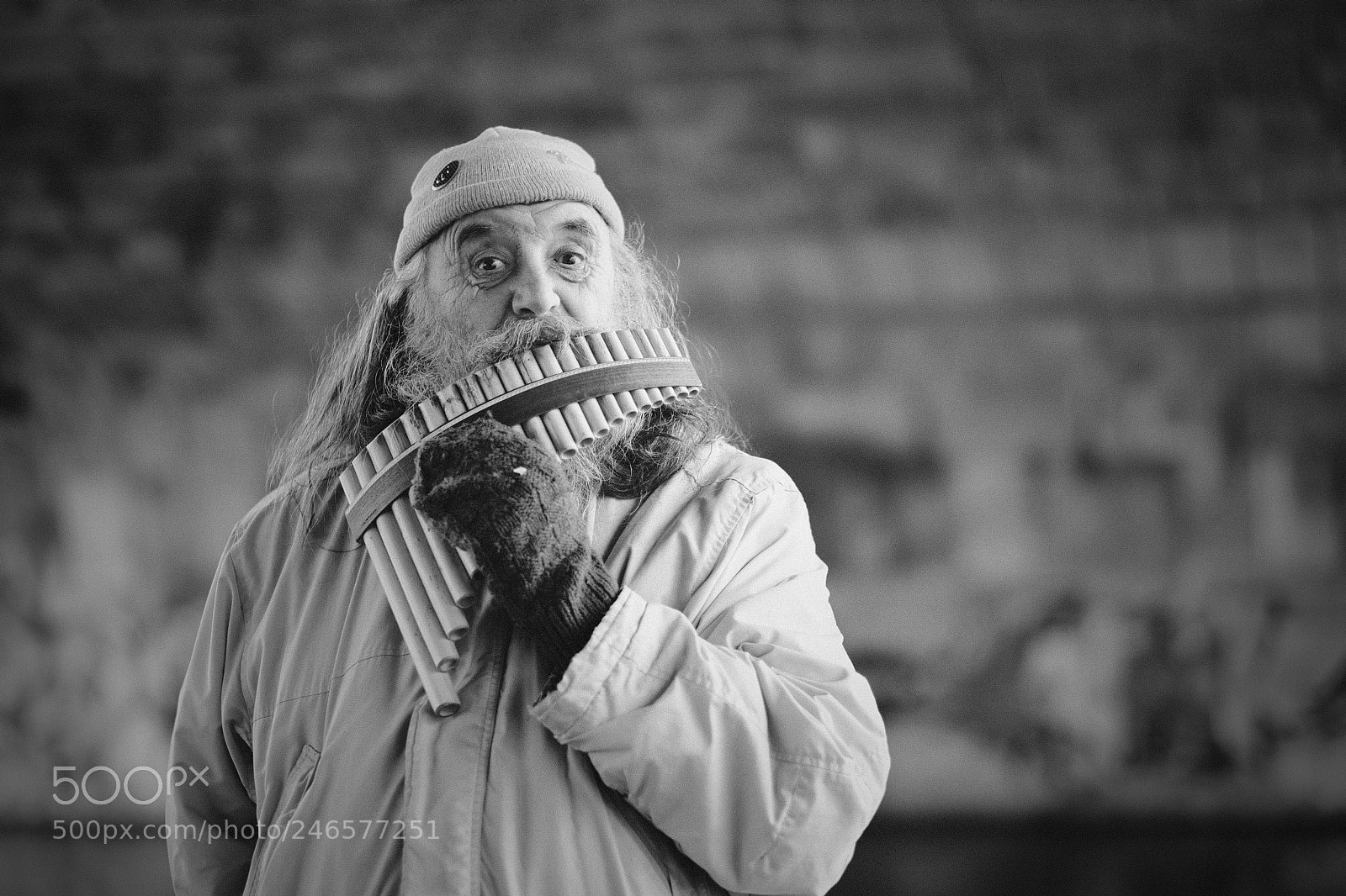 Fujifilm X-T2 sample photo. Untitled photography