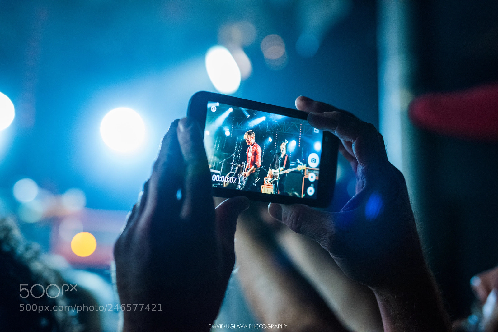 Nikon D810 sample photo. Fan at eagles of photography