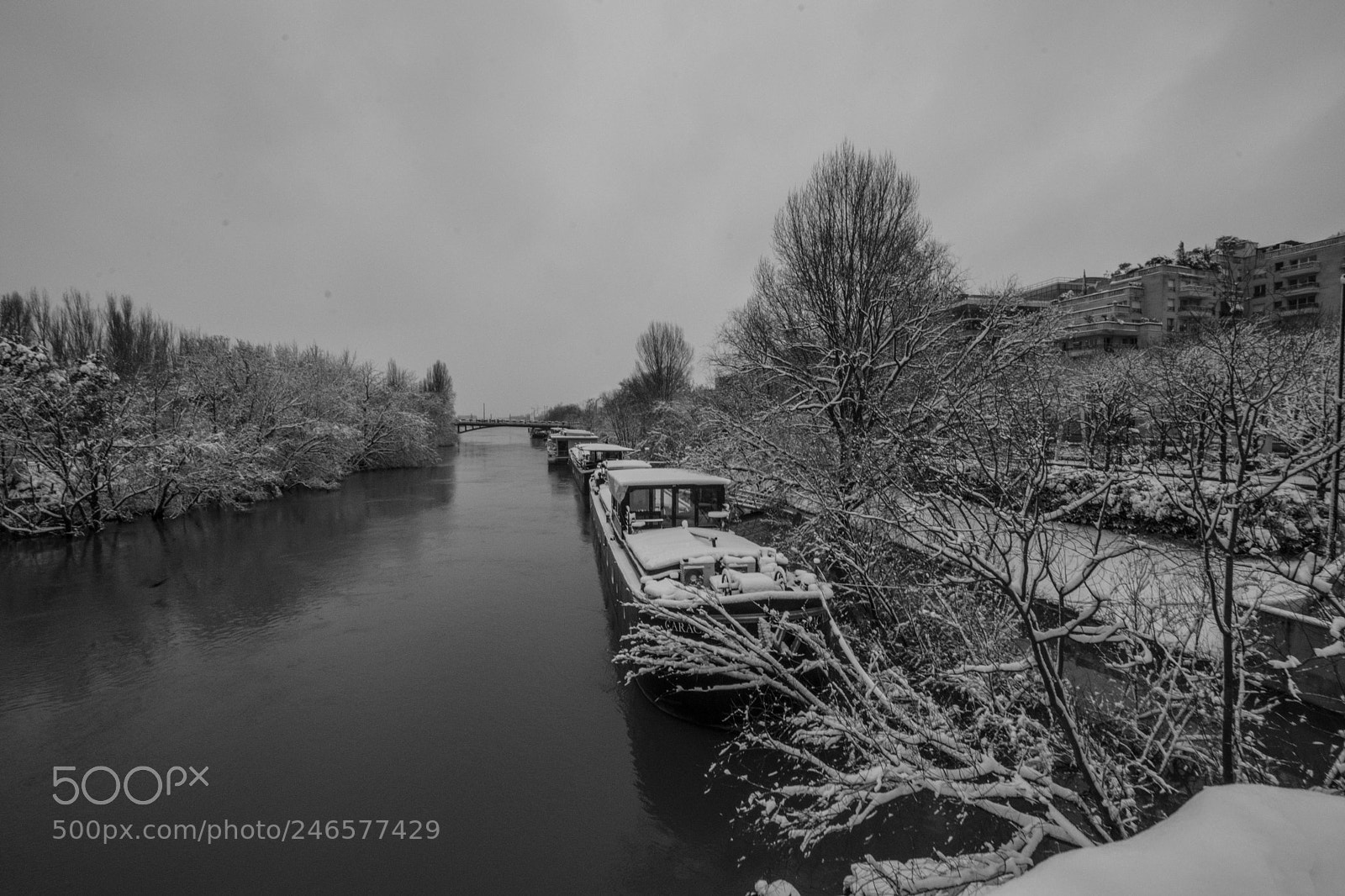 Nikon D7200 sample photo. La seine et la photography