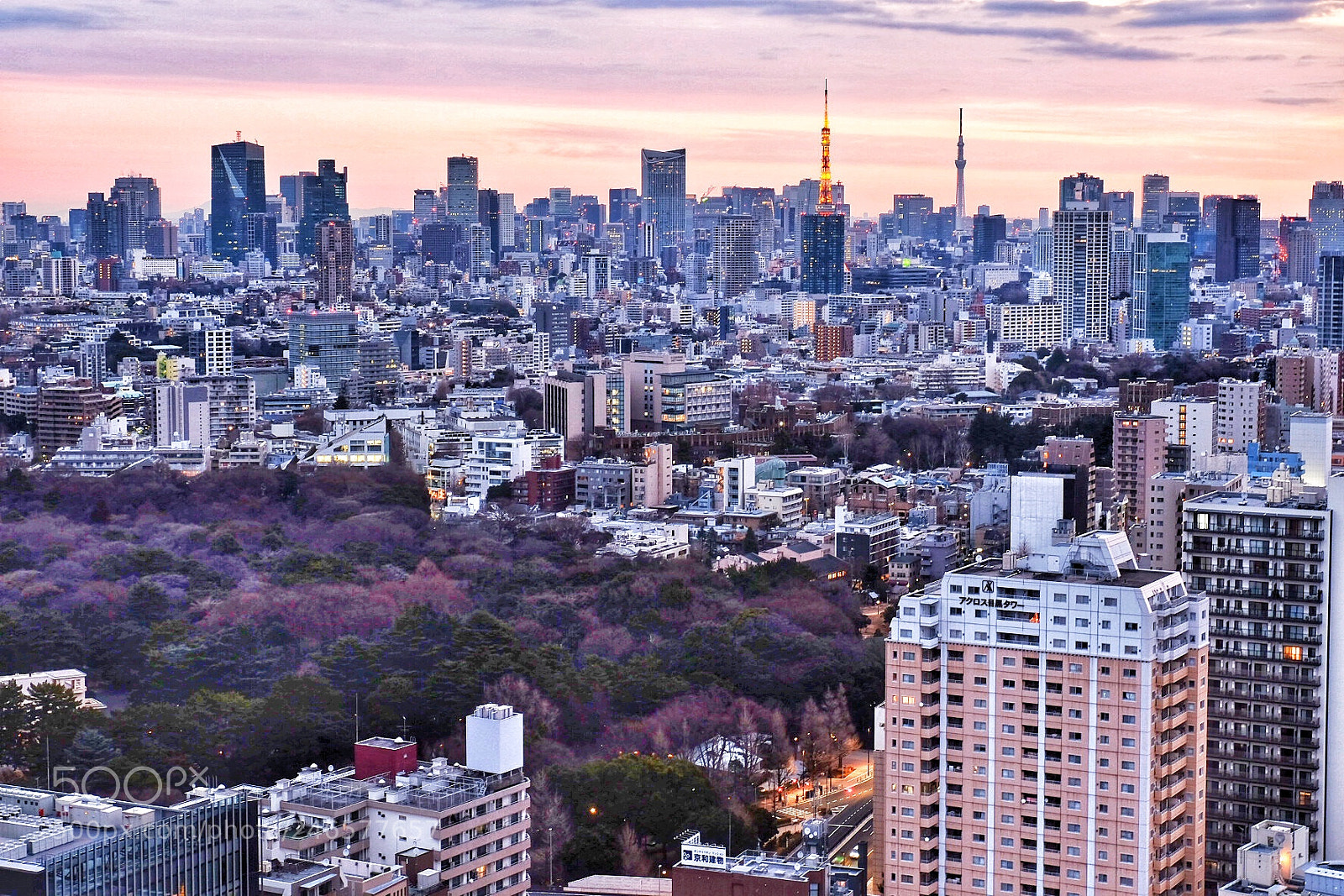 Fujifilm X-E2 sample photo. Tokyo photography