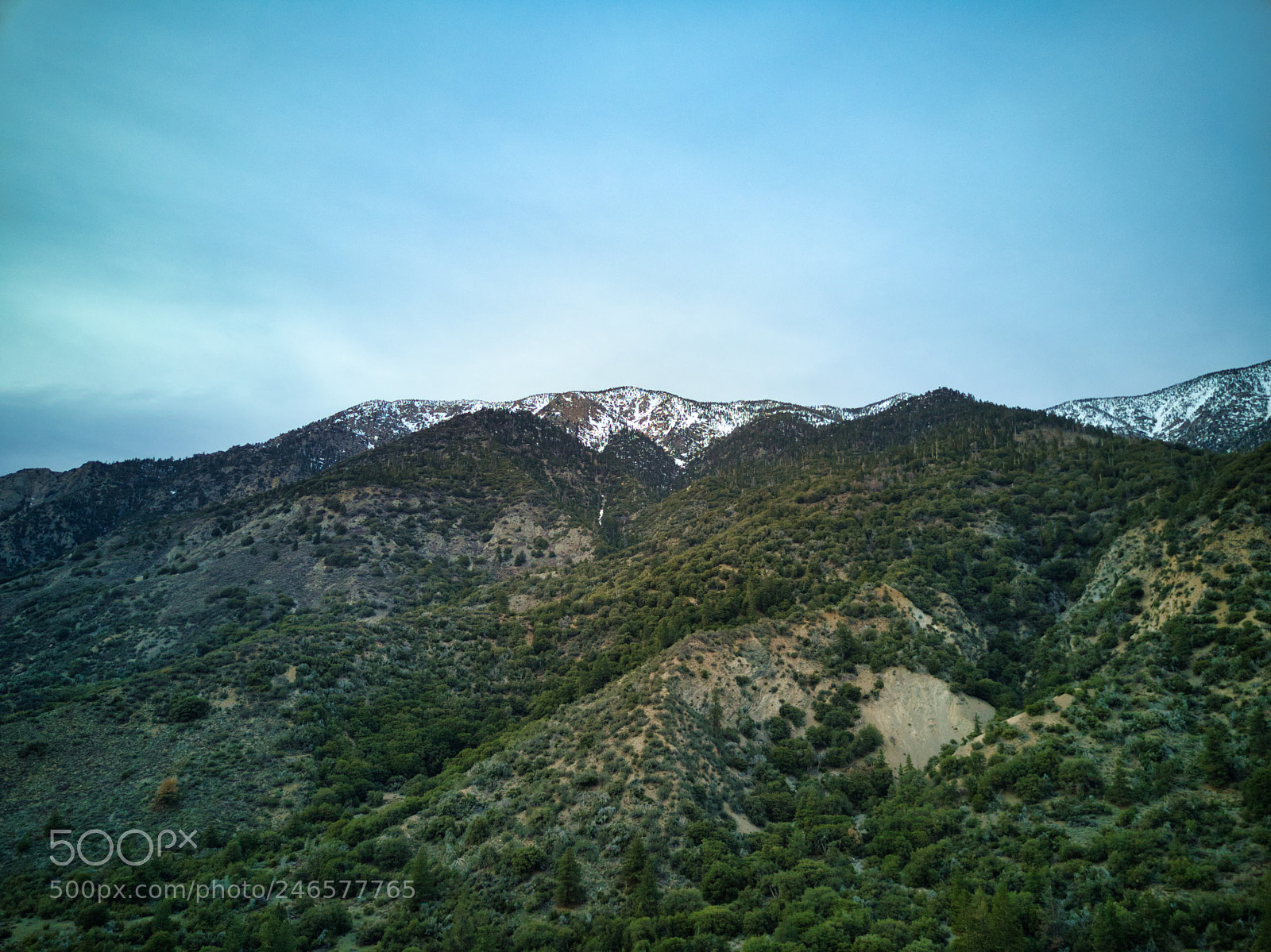 DJI FC220 sample photo. Forest falls - winter photography