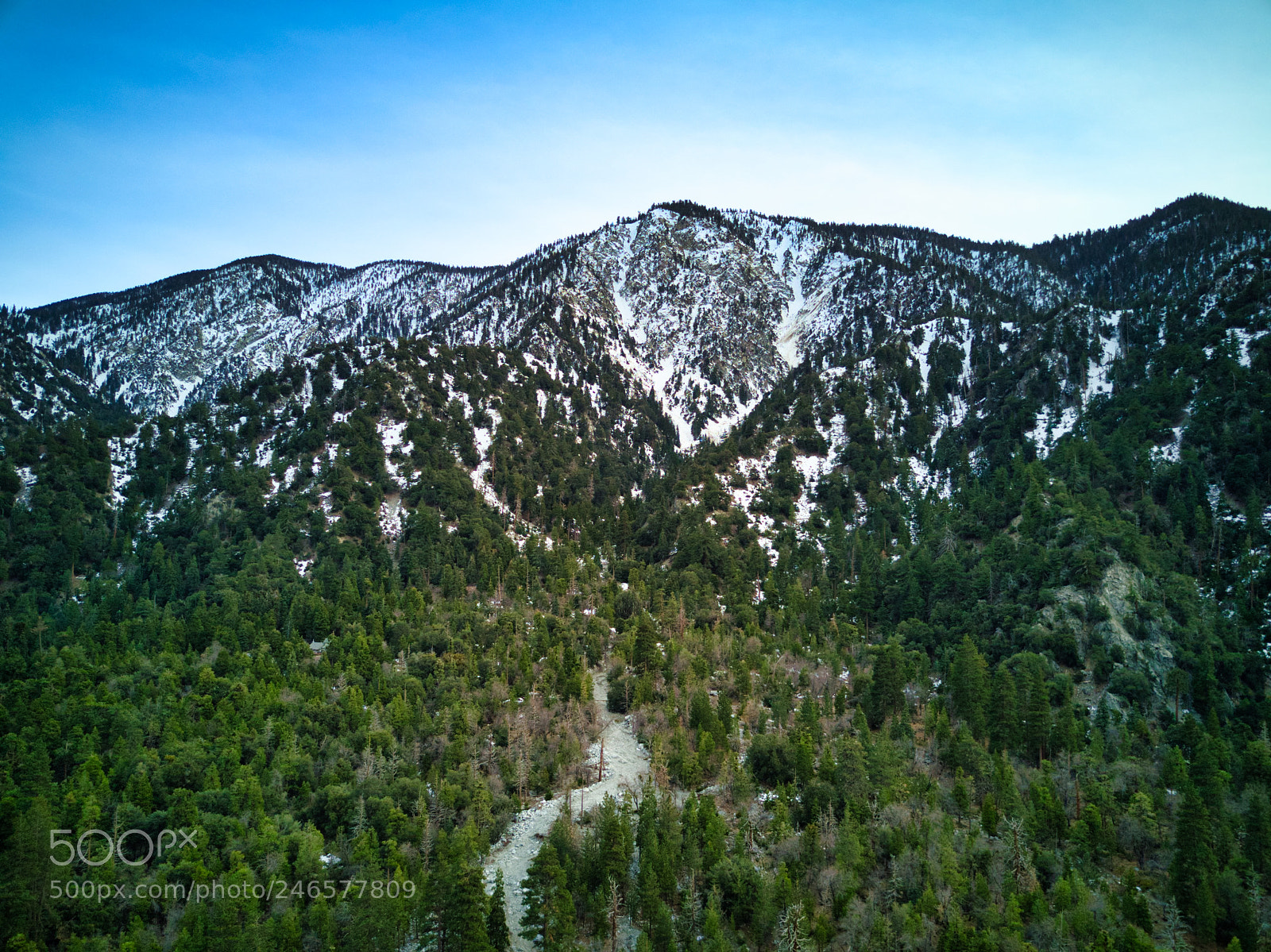 DJI FC220 sample photo. Forest falls - winter photography
