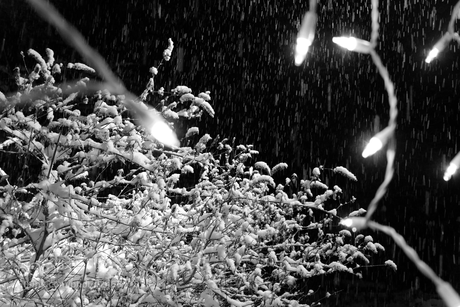 Fujifilm X-A3 sample photo. Mini blizzard february 2018 photography