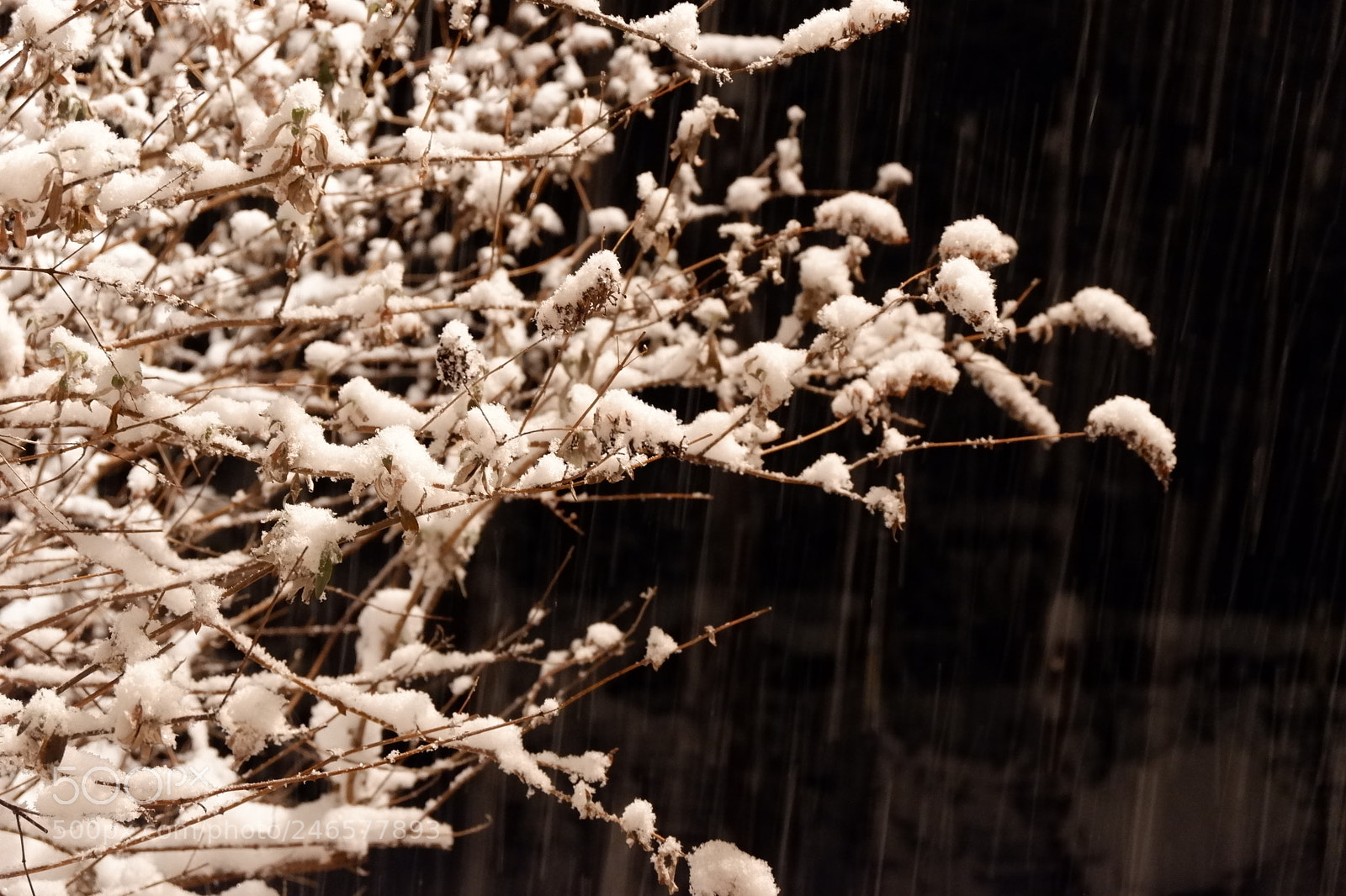 Fujifilm X-A3 sample photo. Mini blizzard february 2018 photography