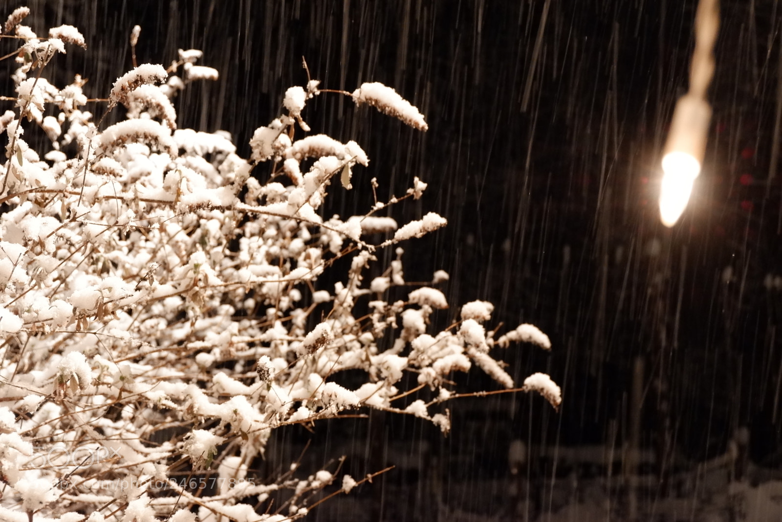 Fujifilm X-A3 sample photo. Mini blizzard february 2018 photography