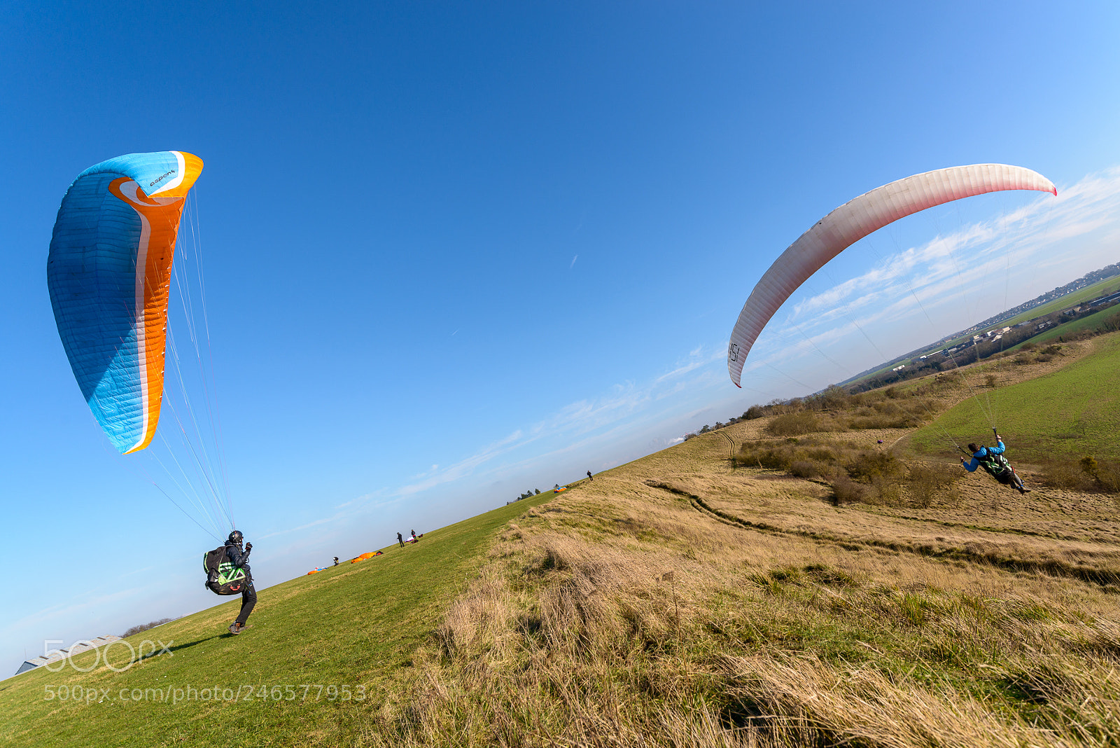 Nikon D800 sample photo. Learning to fly ii photography