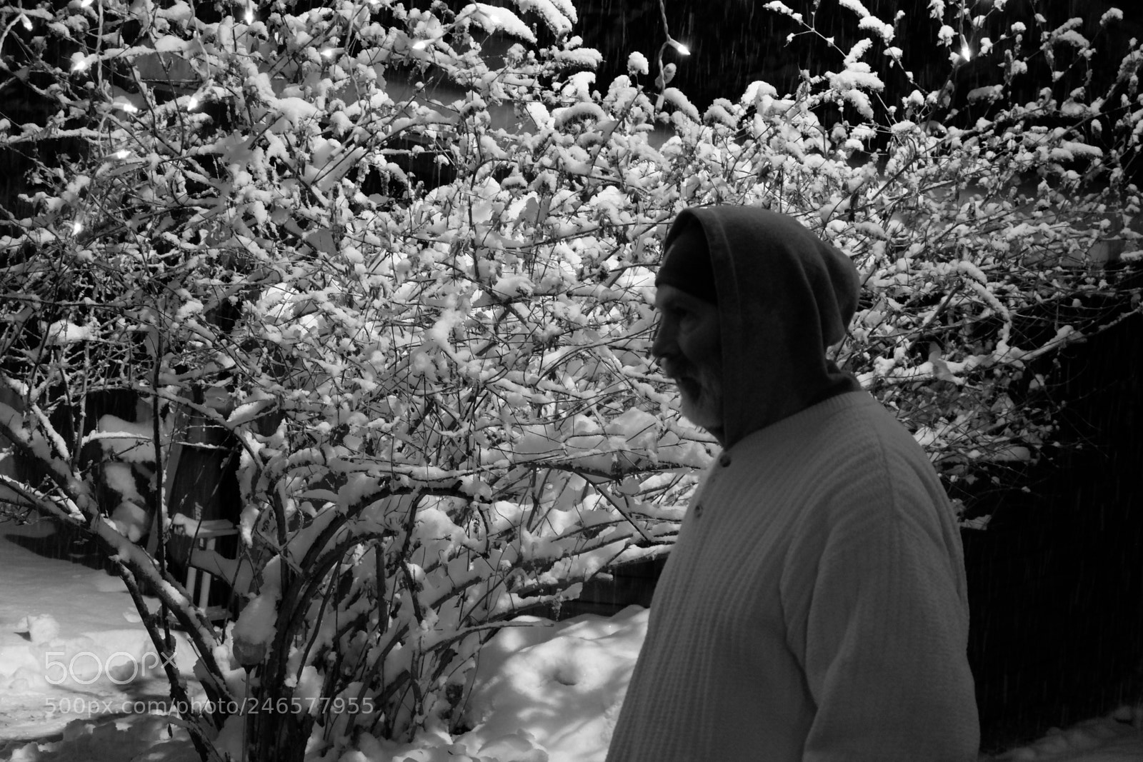 Fujifilm X-A3 sample photo. Mini blizzard february 2018 photography