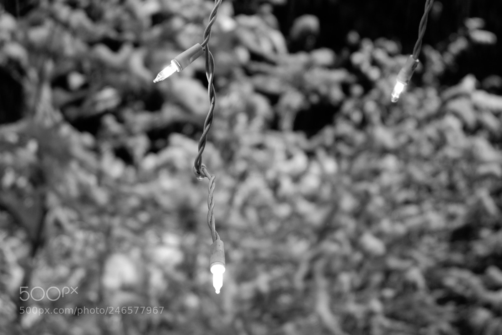 Fujifilm X-A3 sample photo. Mini blizzard february 2018 photography