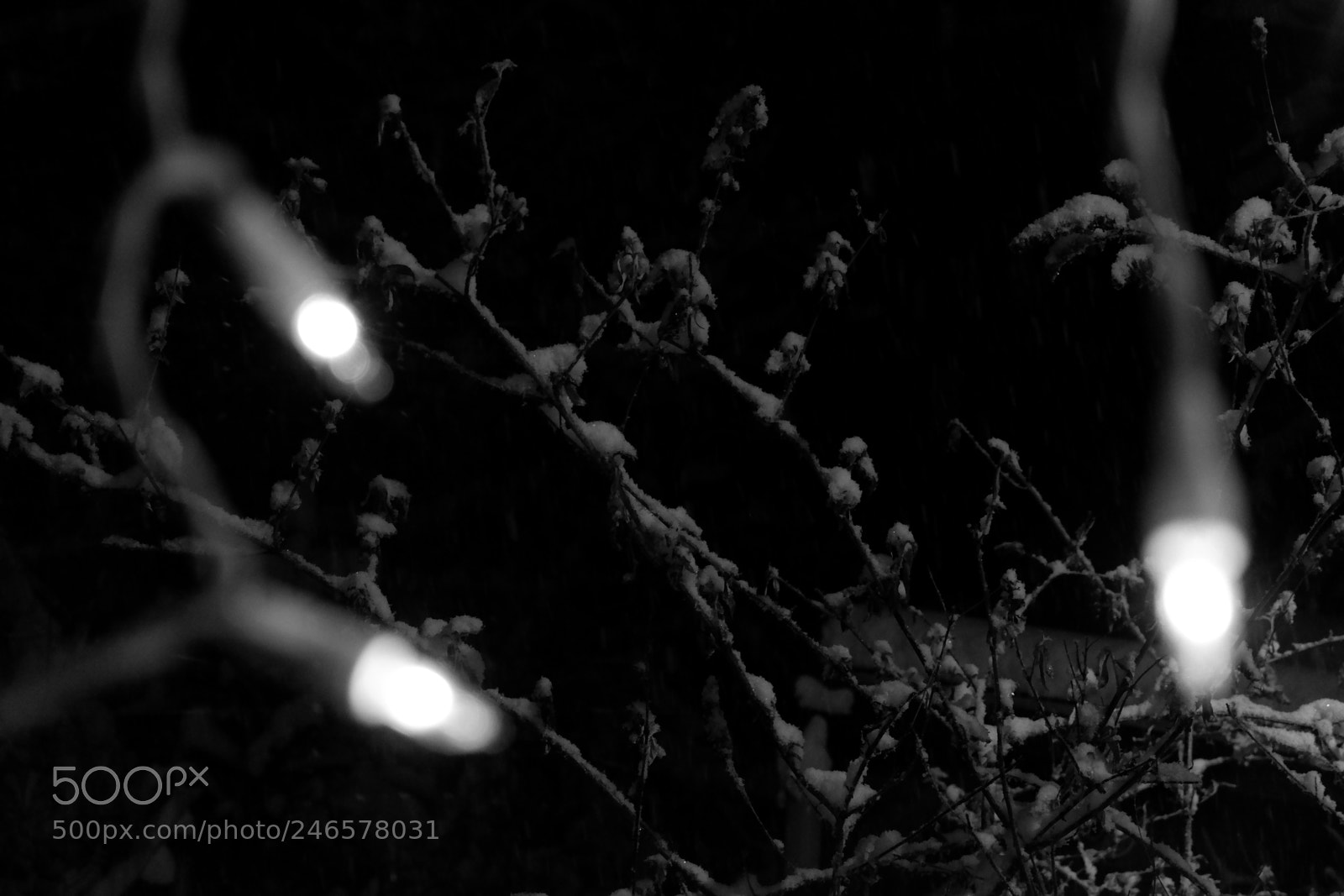 Fujifilm X-A3 sample photo. Mini blizzard february 2018 photography