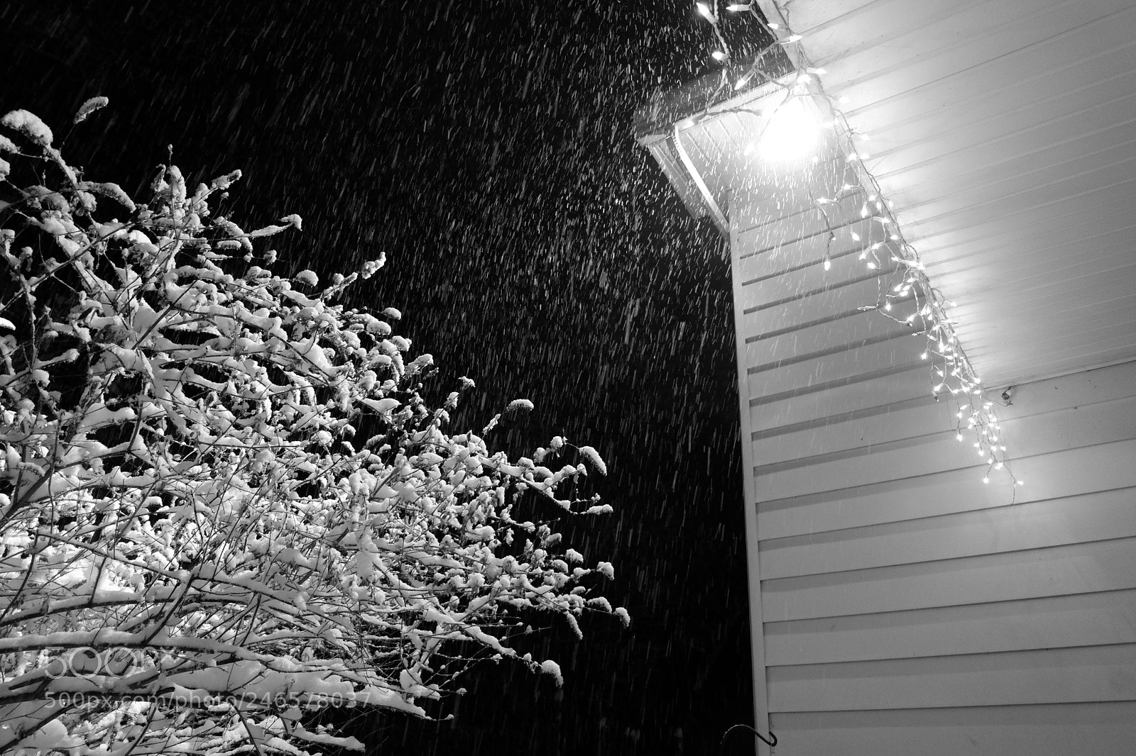 Fujifilm X-A3 sample photo. Mini blizzard february 2018 photography