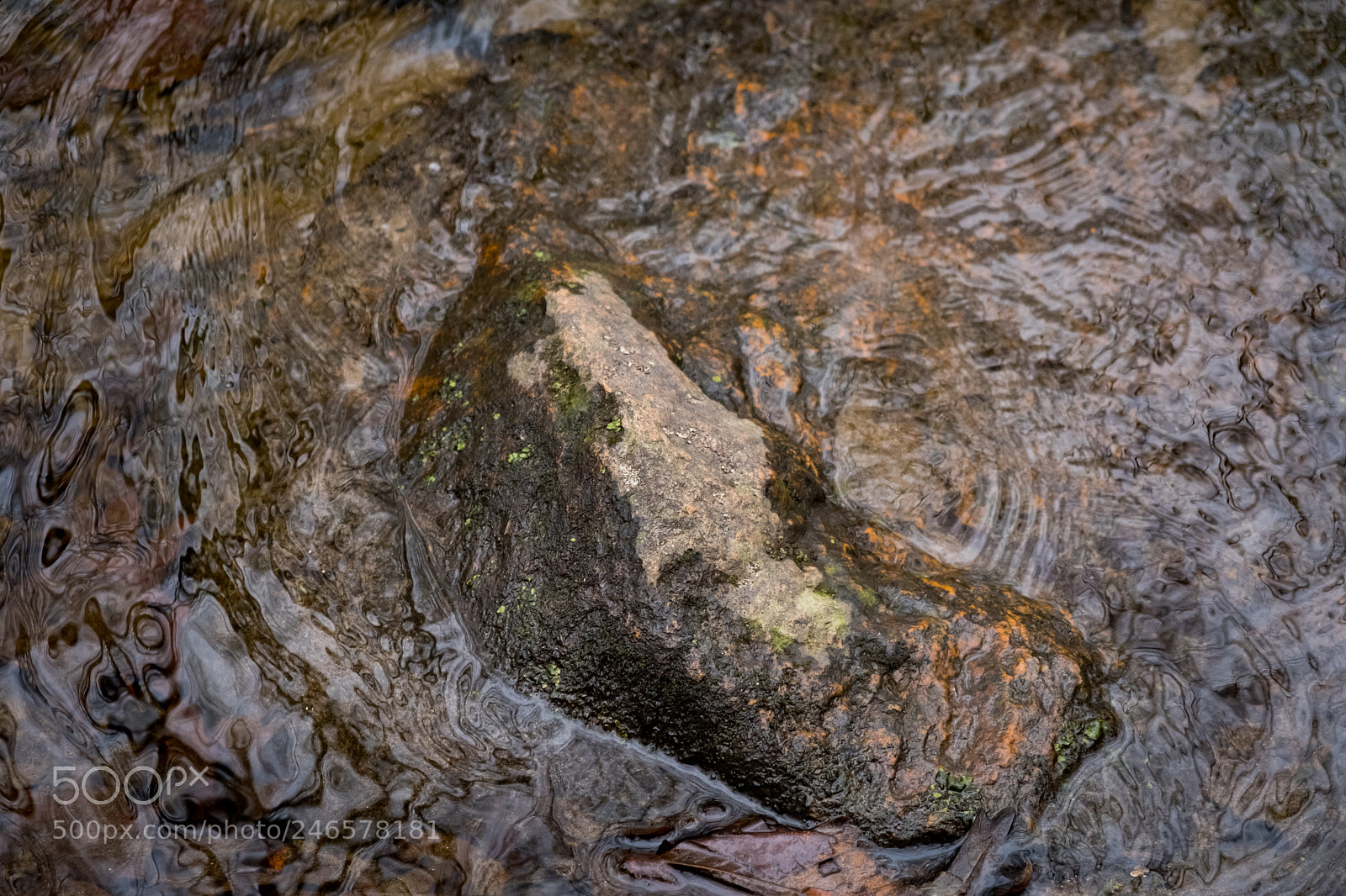 Fujifilm X-T20 sample photo. Untitled photography
