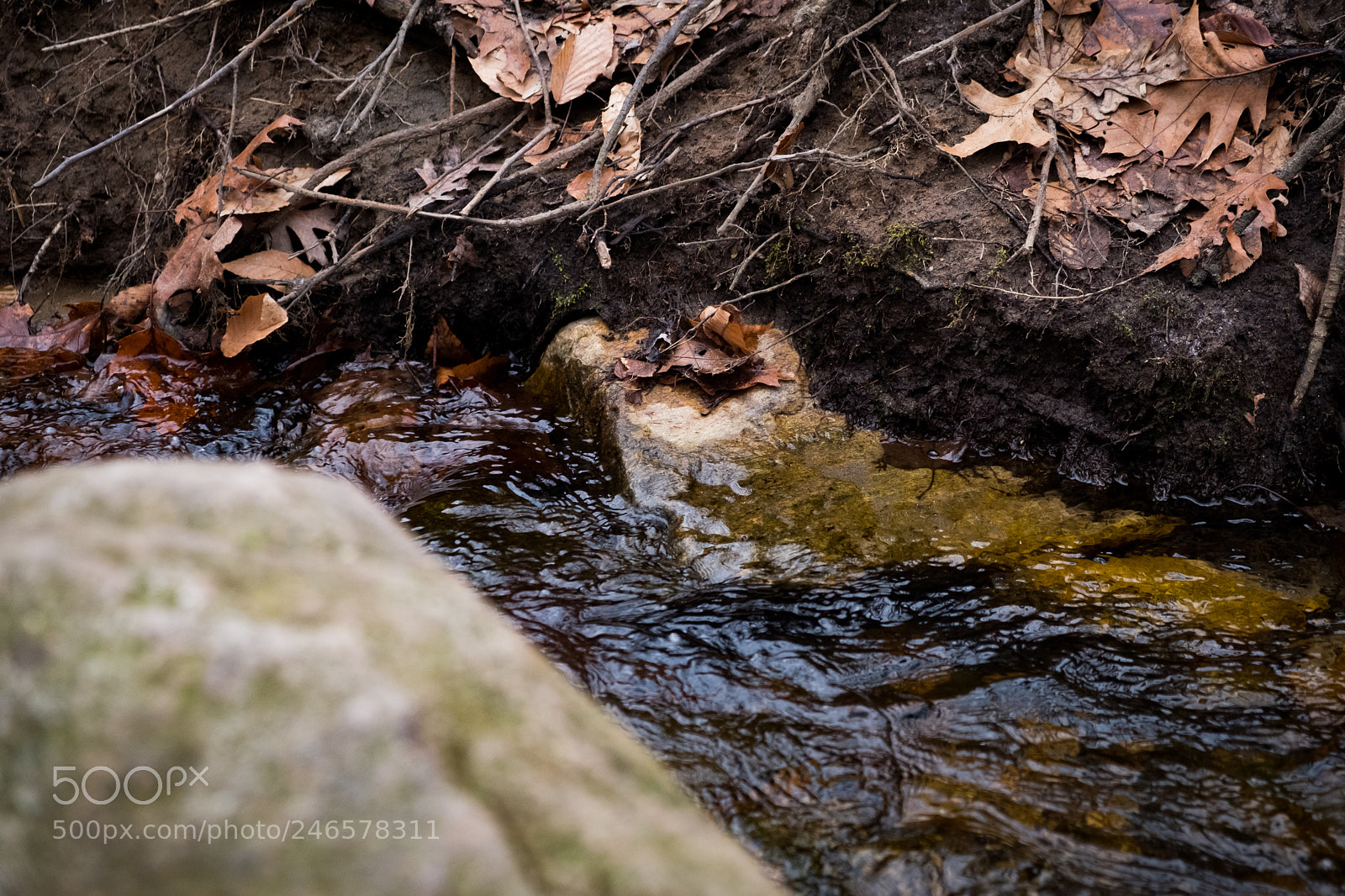 Fujifilm X-T20 sample photo. Untitled photography