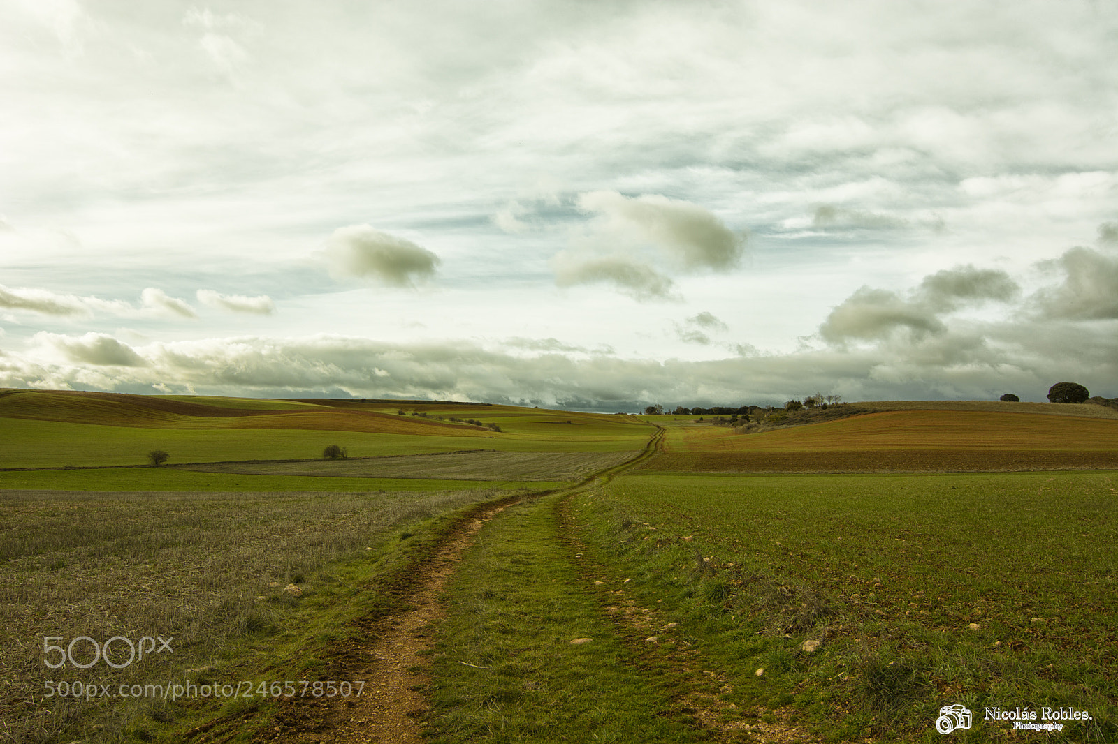 Nikon D7100 sample photo. Caminando hacia la primavera photography