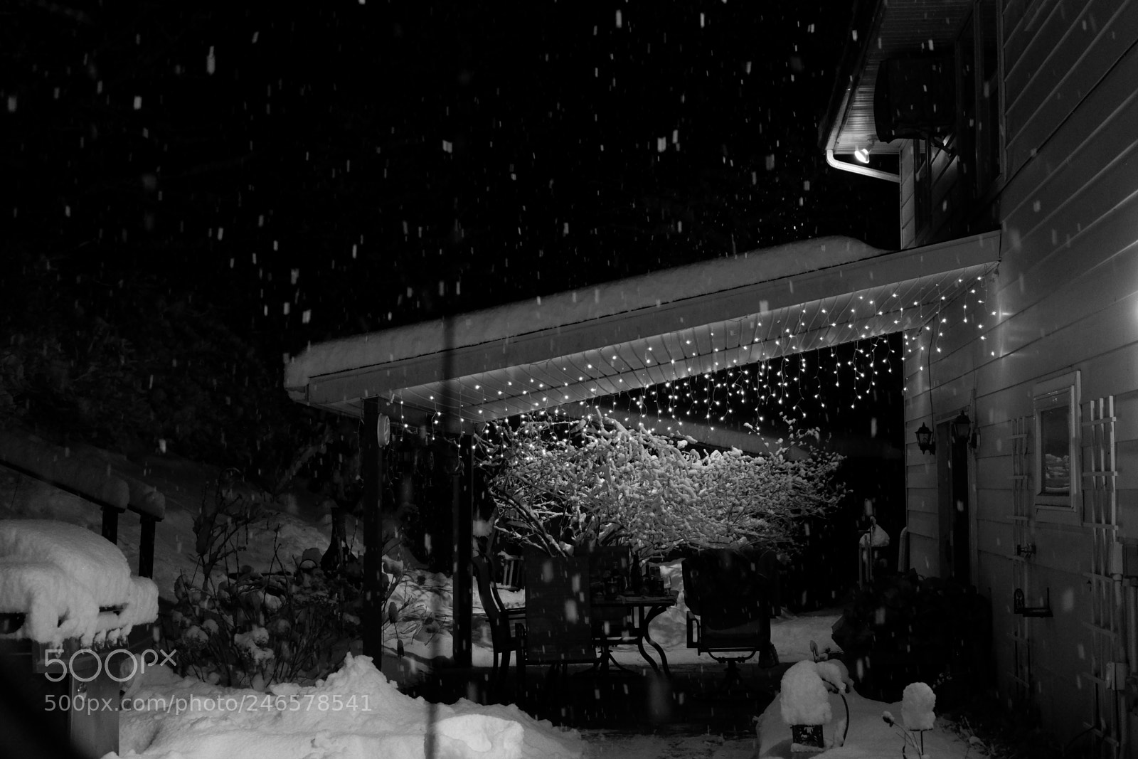 Fujifilm X-A3 sample photo. Mini blizzard february 2018 photography