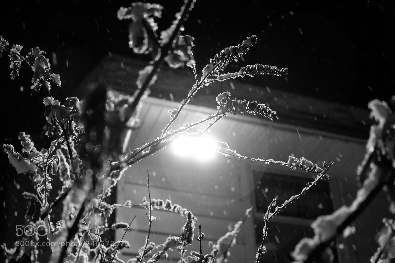 Fujifilm X-A3 sample photo. Mini blizzard february 2018 photography