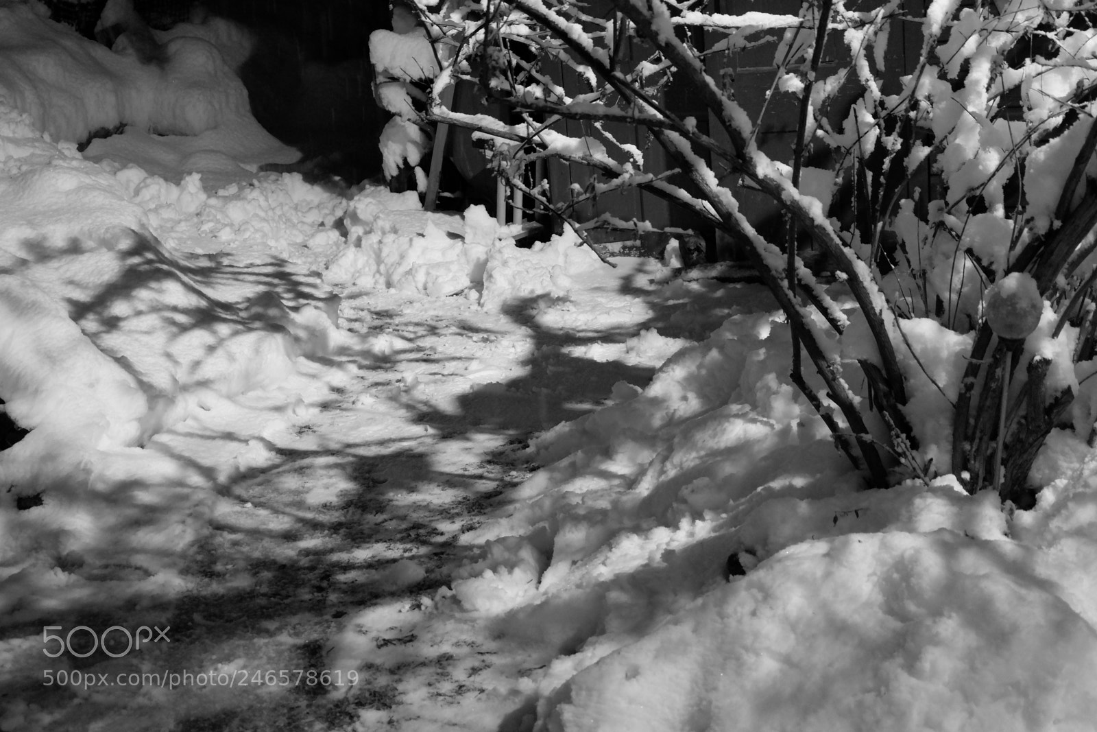 Fujifilm X-A3 sample photo. Mini blizzard february 2018 photography