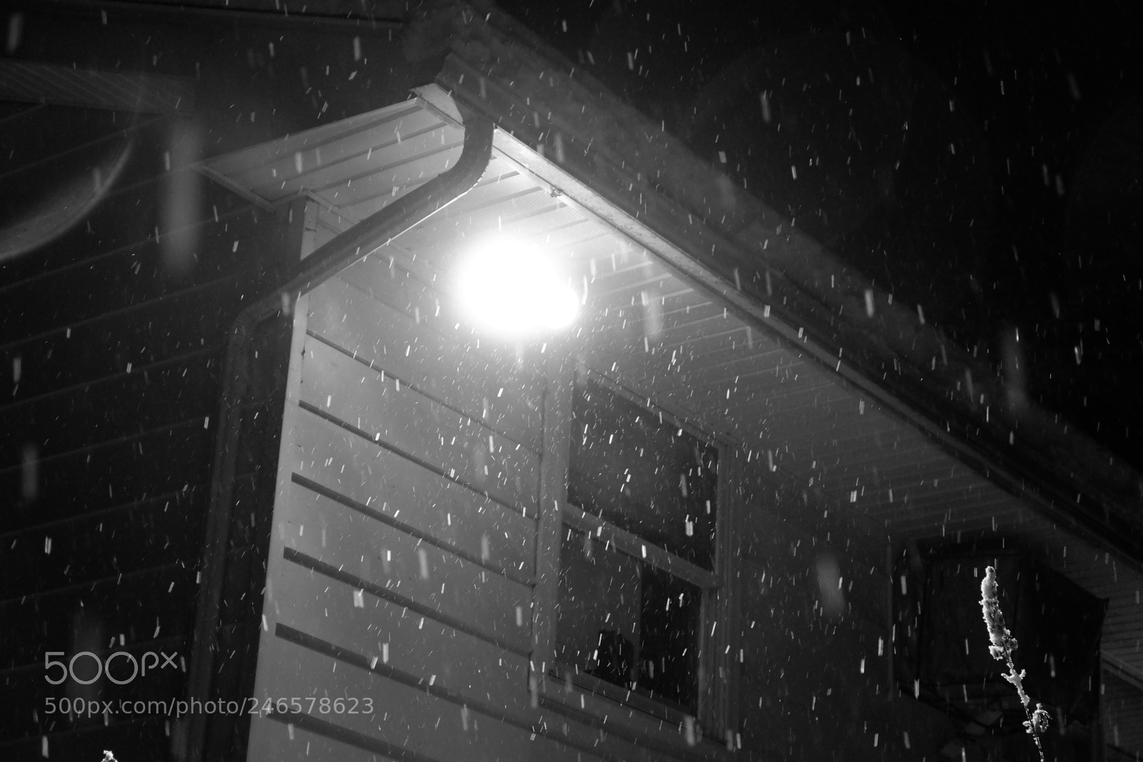 Fujifilm X-A3 sample photo. Mini blizzard february 2018 photography