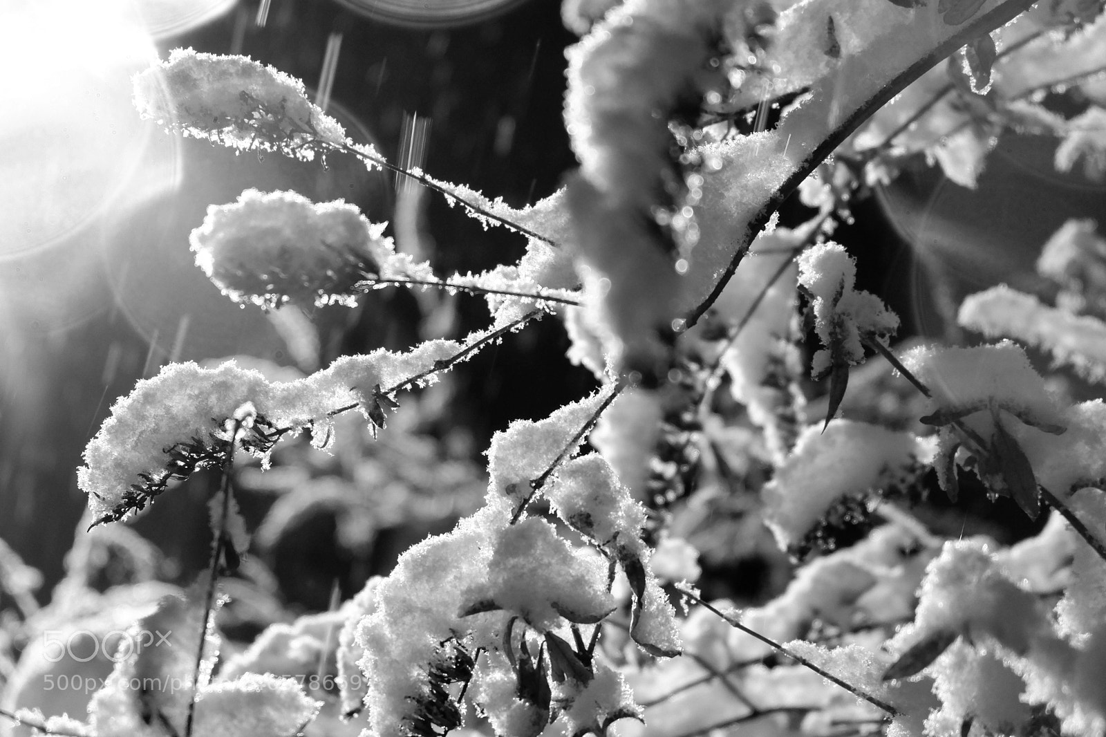 Fujifilm X-A3 sample photo. Mini blizzard february 2018 photography