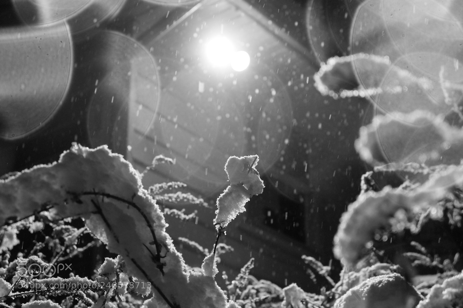 Fujifilm X-A3 sample photo. Mini blizzard february 2018 photography
