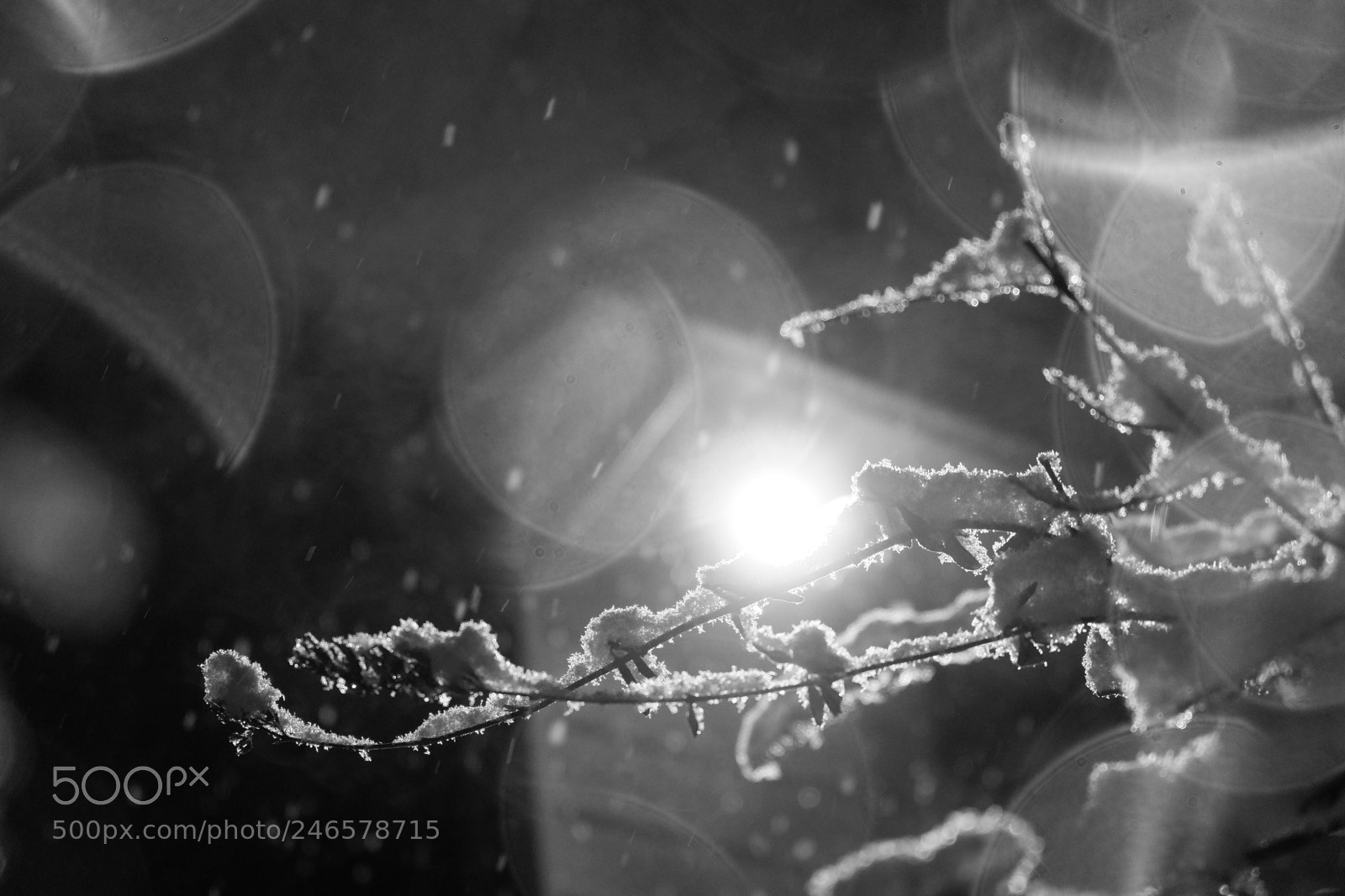 Fujifilm X-A3 sample photo. Mini blizzard february 2018 photography