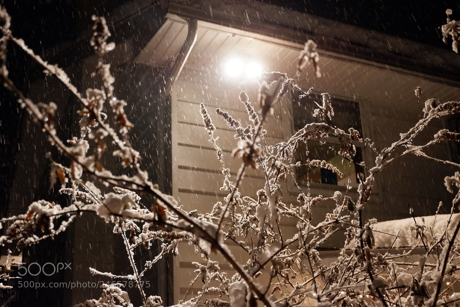Fujifilm X-A3 sample photo. Mini blizzard february 2018 photography