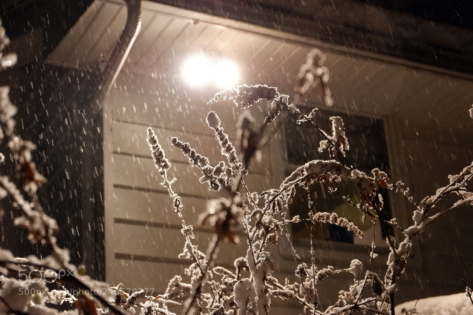 Fujifilm X-A3 sample photo. Mini blizzard february 2018 photography