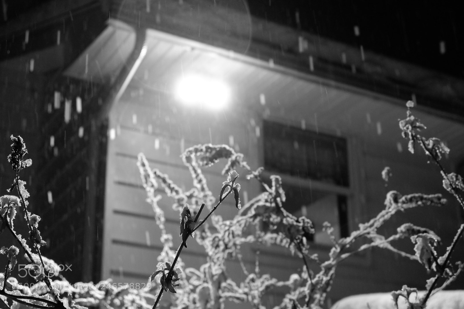 Fujifilm X-A3 sample photo. Mini blizzard february 2018 photography