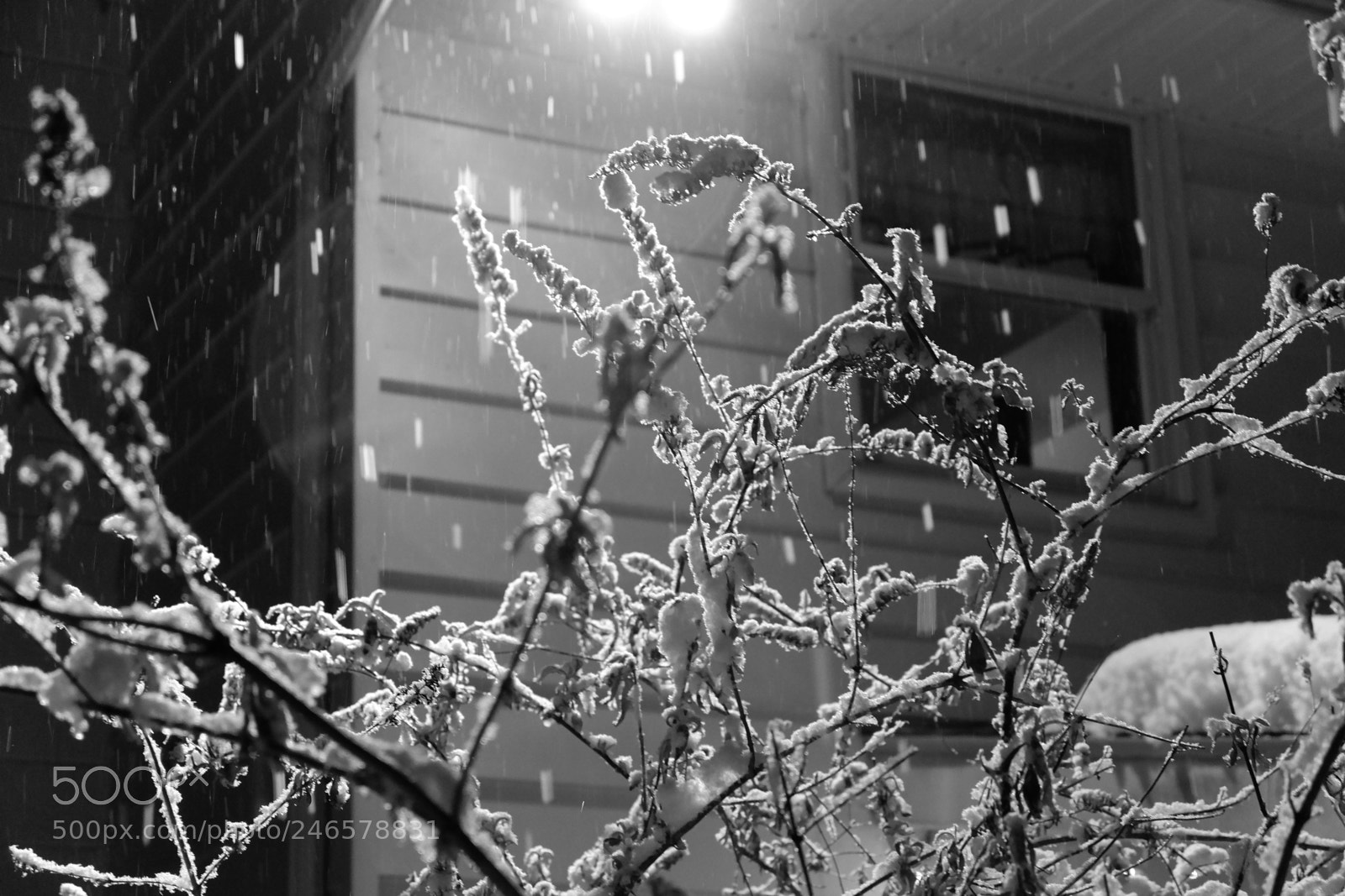 Fujifilm X-A3 sample photo. Mini blizzard february 2018 photography