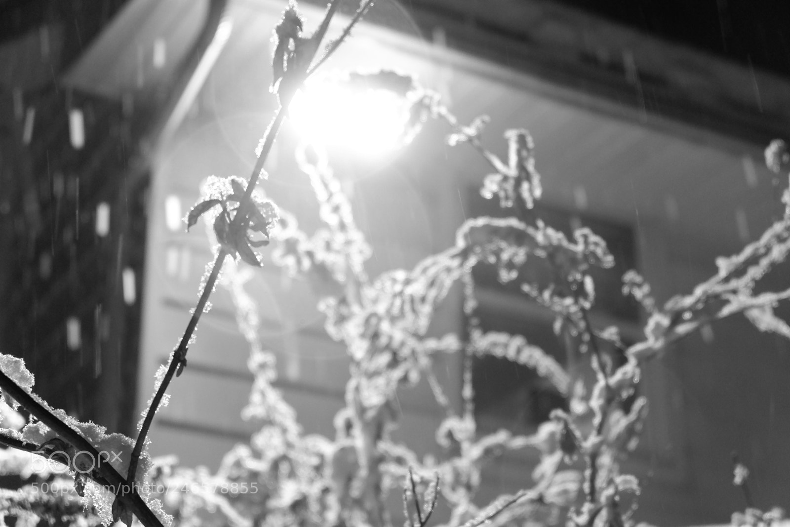 Fujifilm X-A3 sample photo. Mini blizzard february 2018 photography