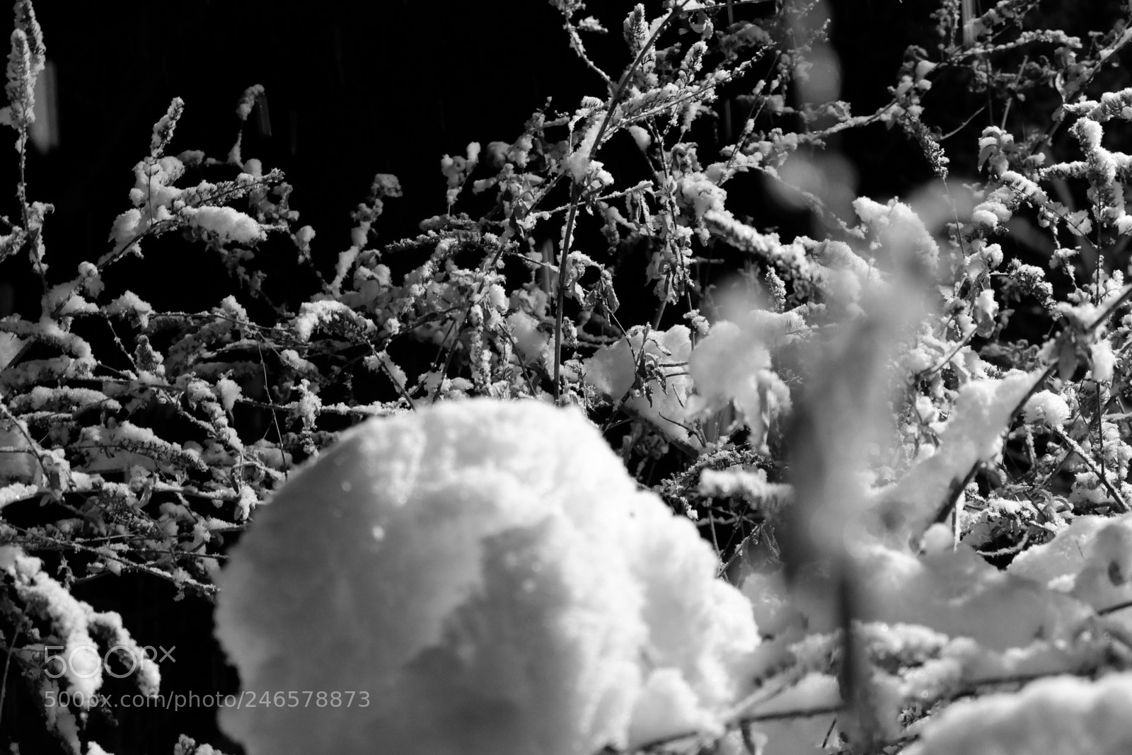 Fujifilm X-A3 sample photo. Mini blizzard february 2018 photography