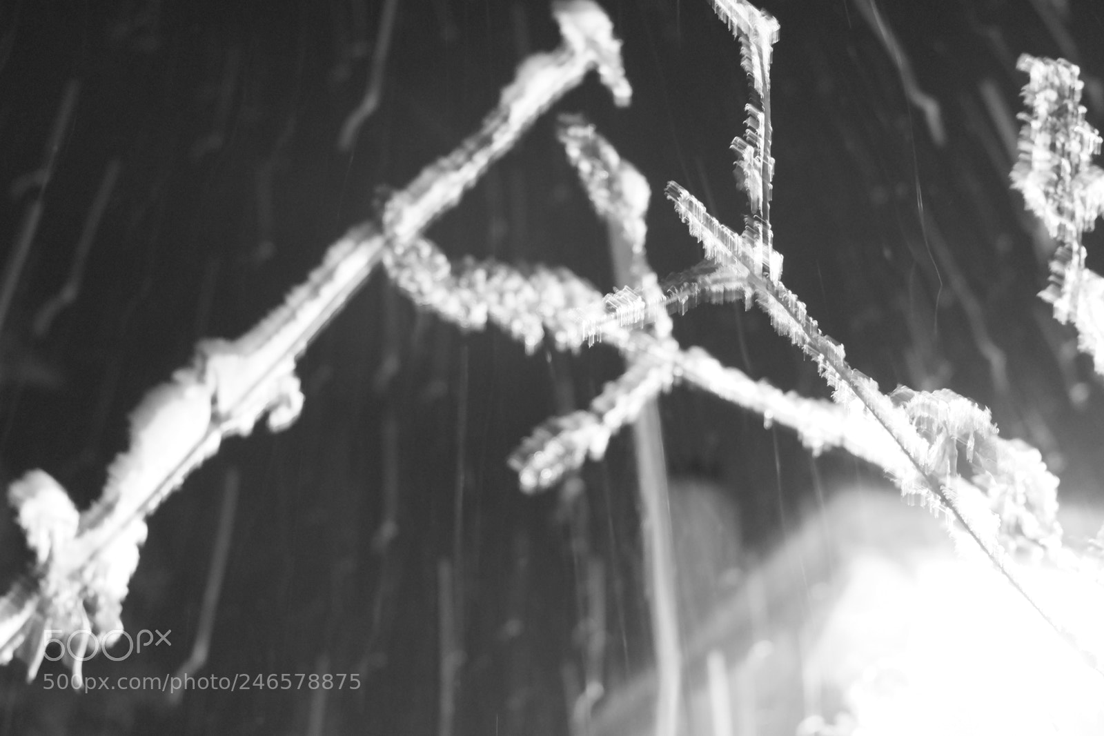 Fujifilm X-A3 sample photo. Mini blizzard february 2018 photography