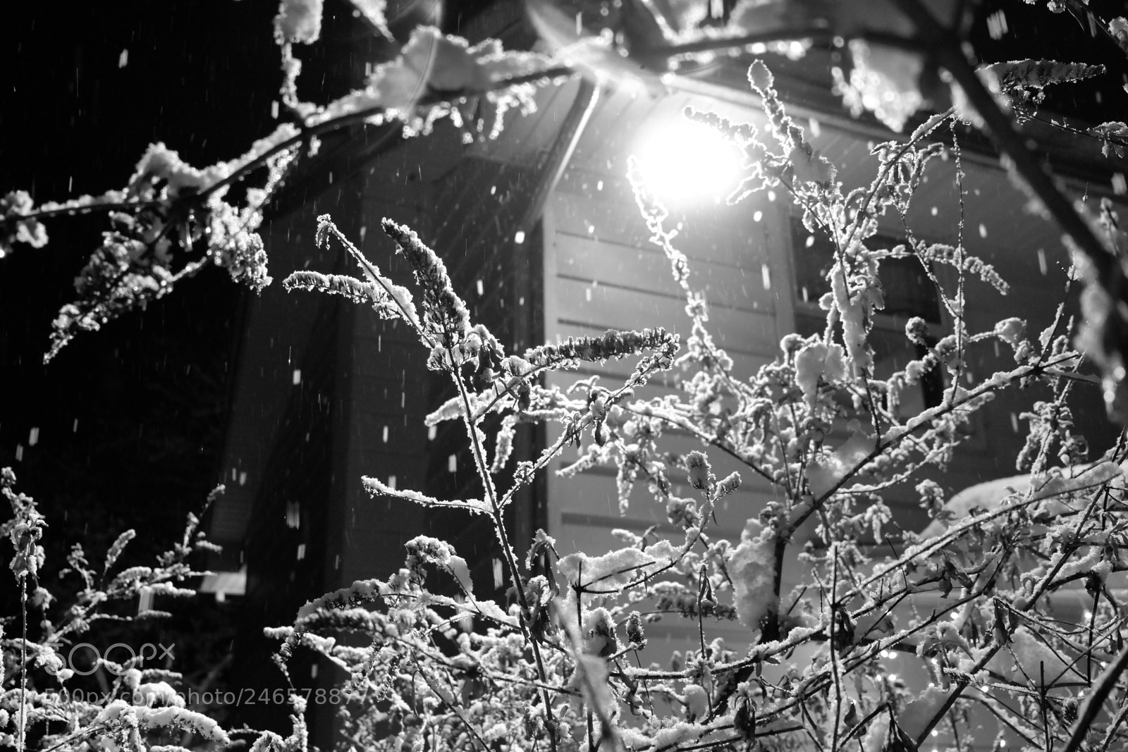 Fujifilm X-A3 sample photo. Mini blizzard february 2018 photography